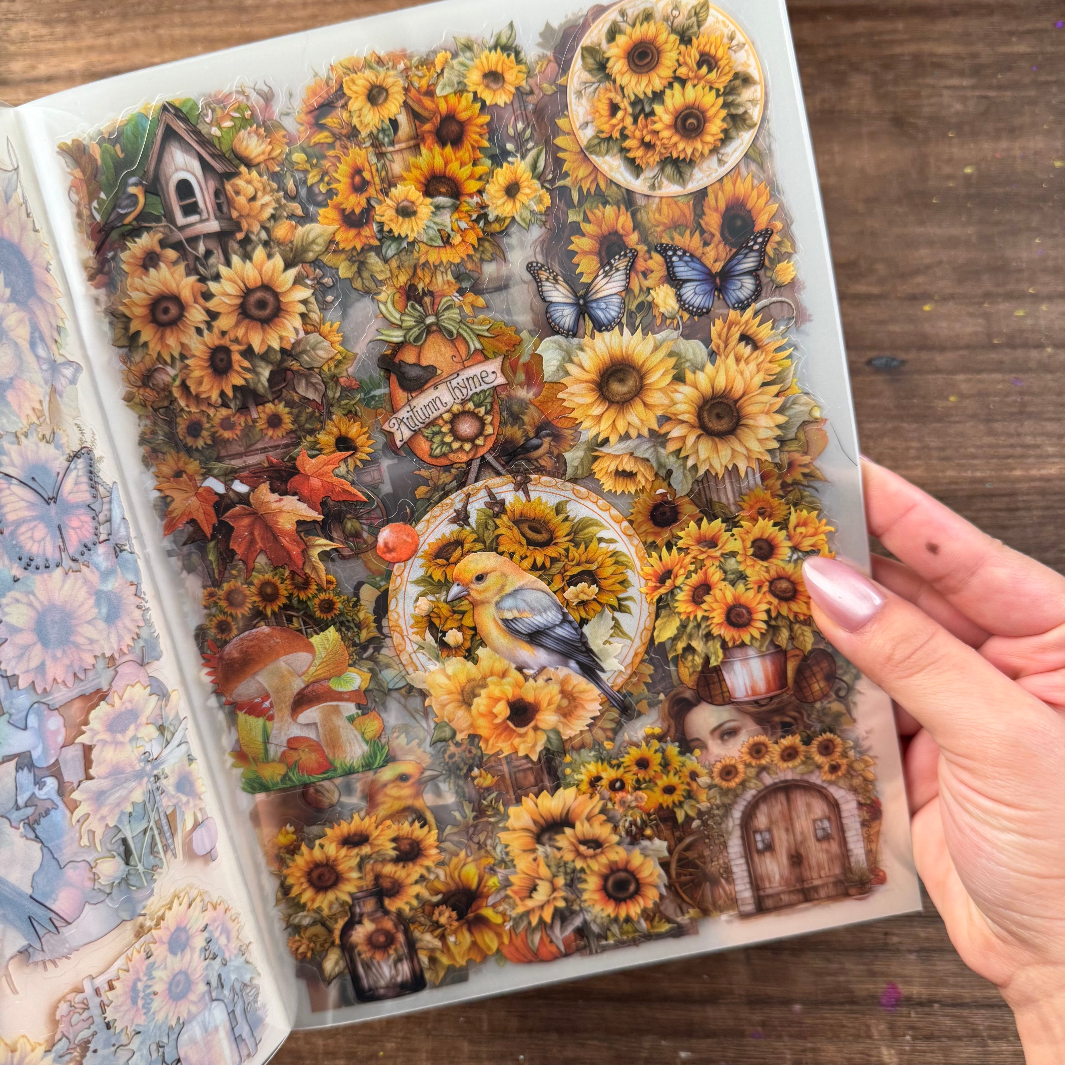 Harvest sticker book PET+washi