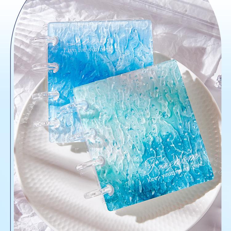 0313 ATC storage binder with 20 insert pocket