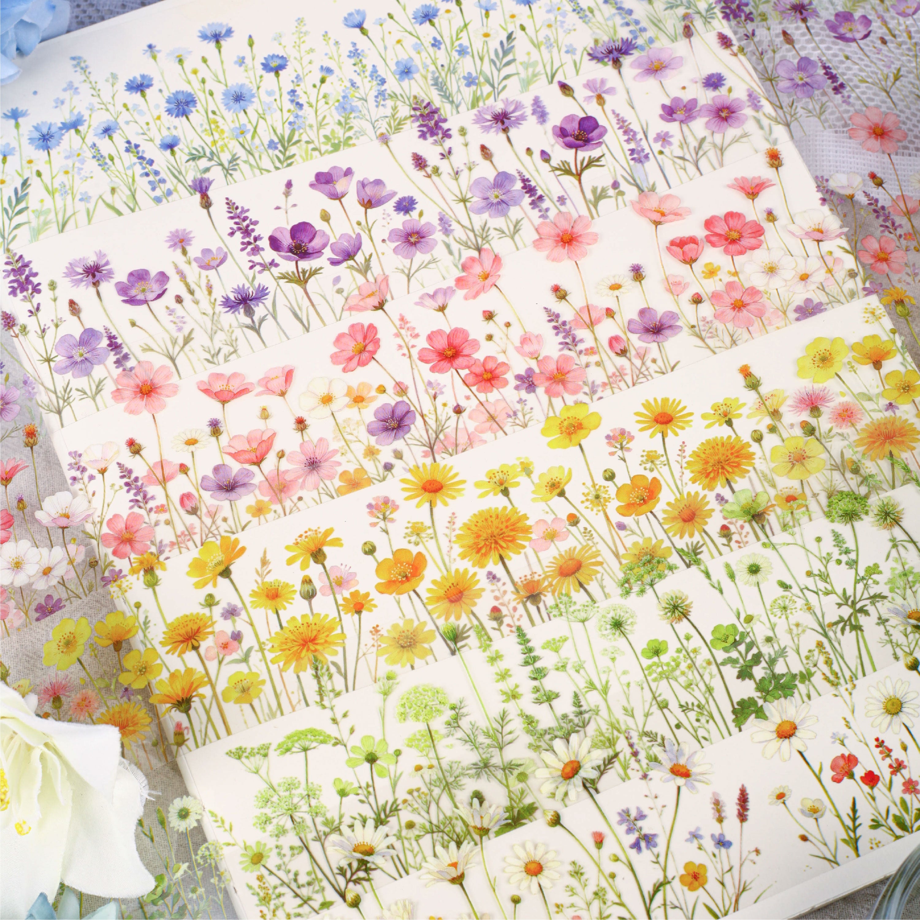 Wildflowers PET Tape (5cm x 2m)