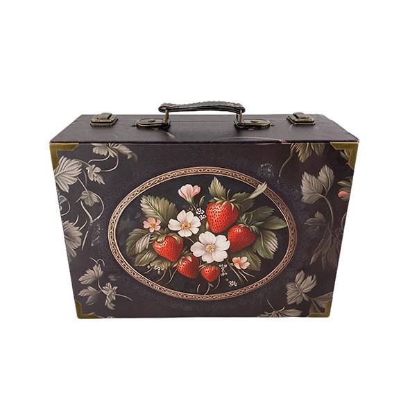 G164- Strawberry Suitcase