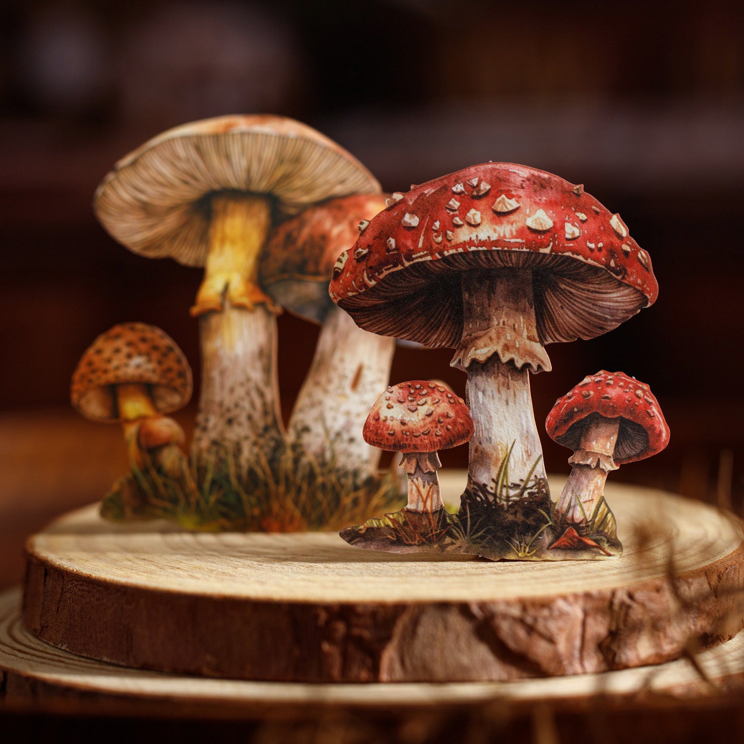 1106 Mushroom Solid sticker -25Pcs each pack