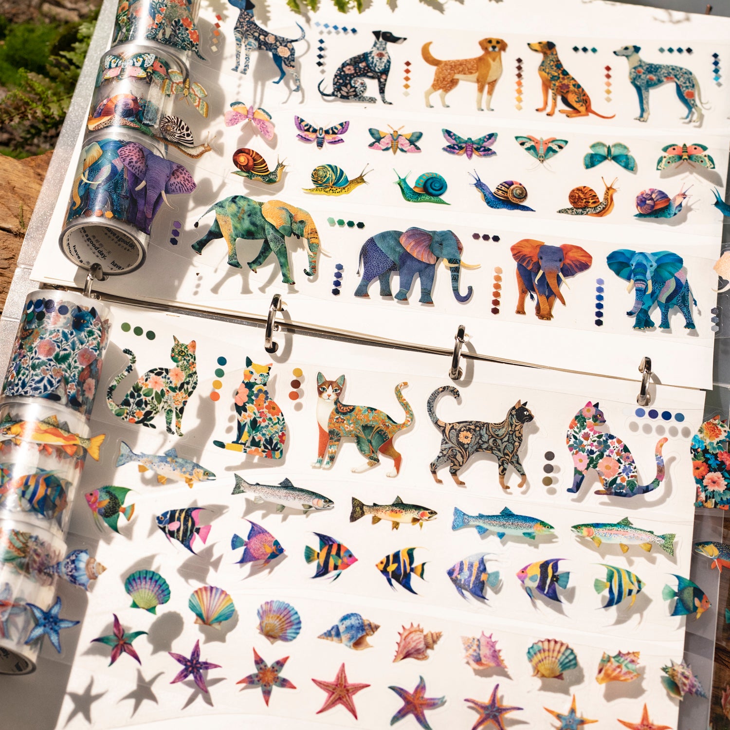 Morris Animal Impressions PET Tape (5cm x 2m)