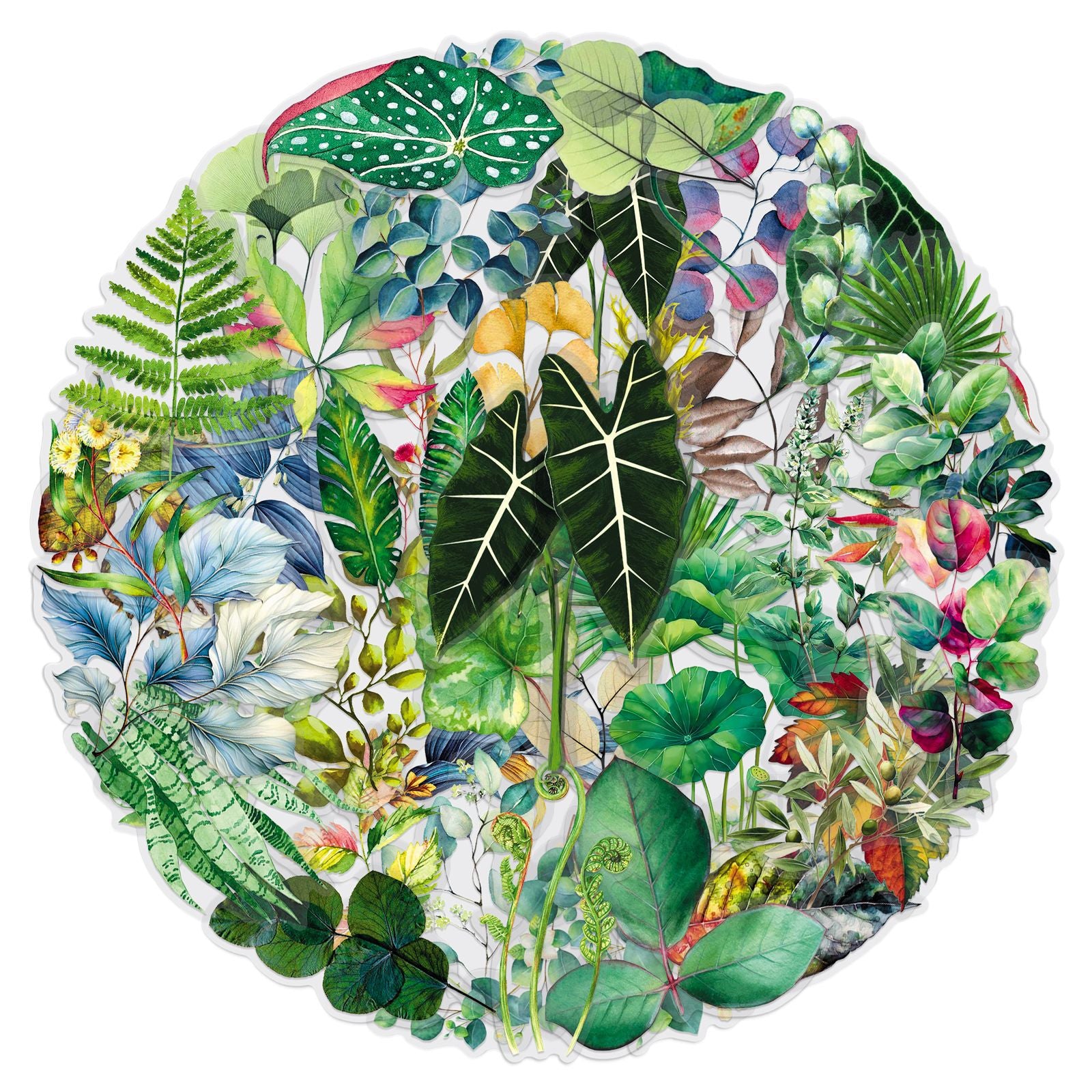 50 Leaves PET Sticker
