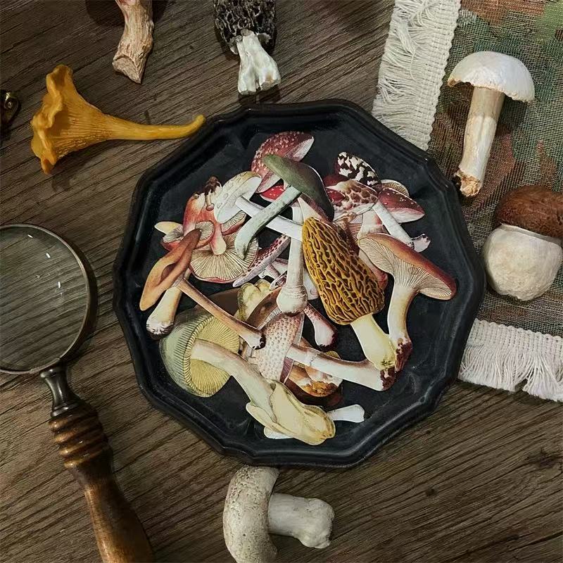 Vintage mushrooms card stock -21Pcs each pack