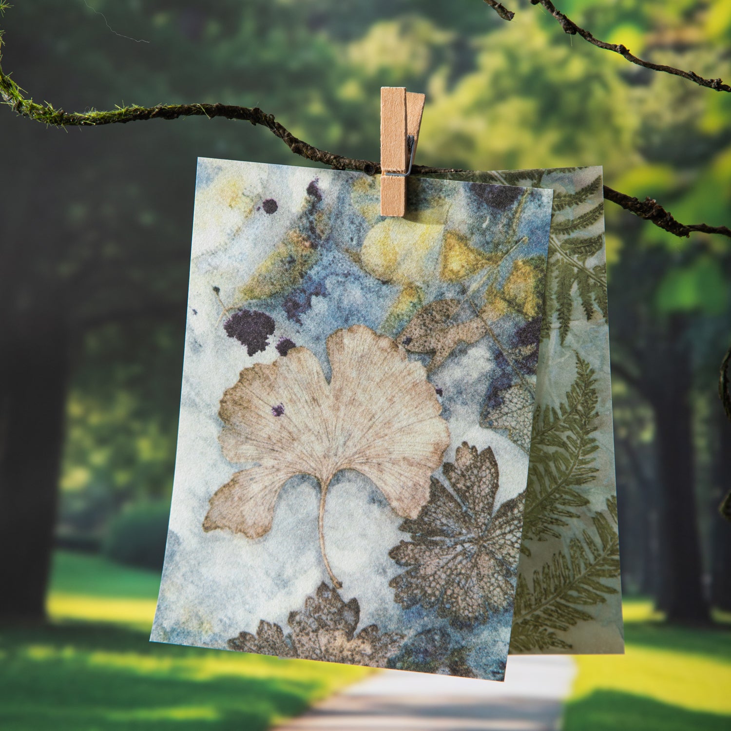 Plant dyeing paper -20Pcs each pack