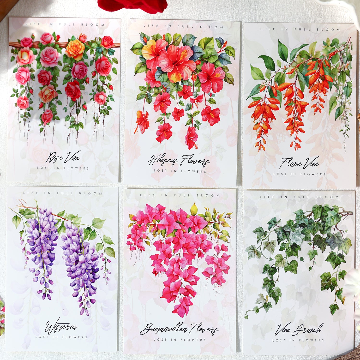 0520 Vine flowers PET Sticker -20Pcs each pack