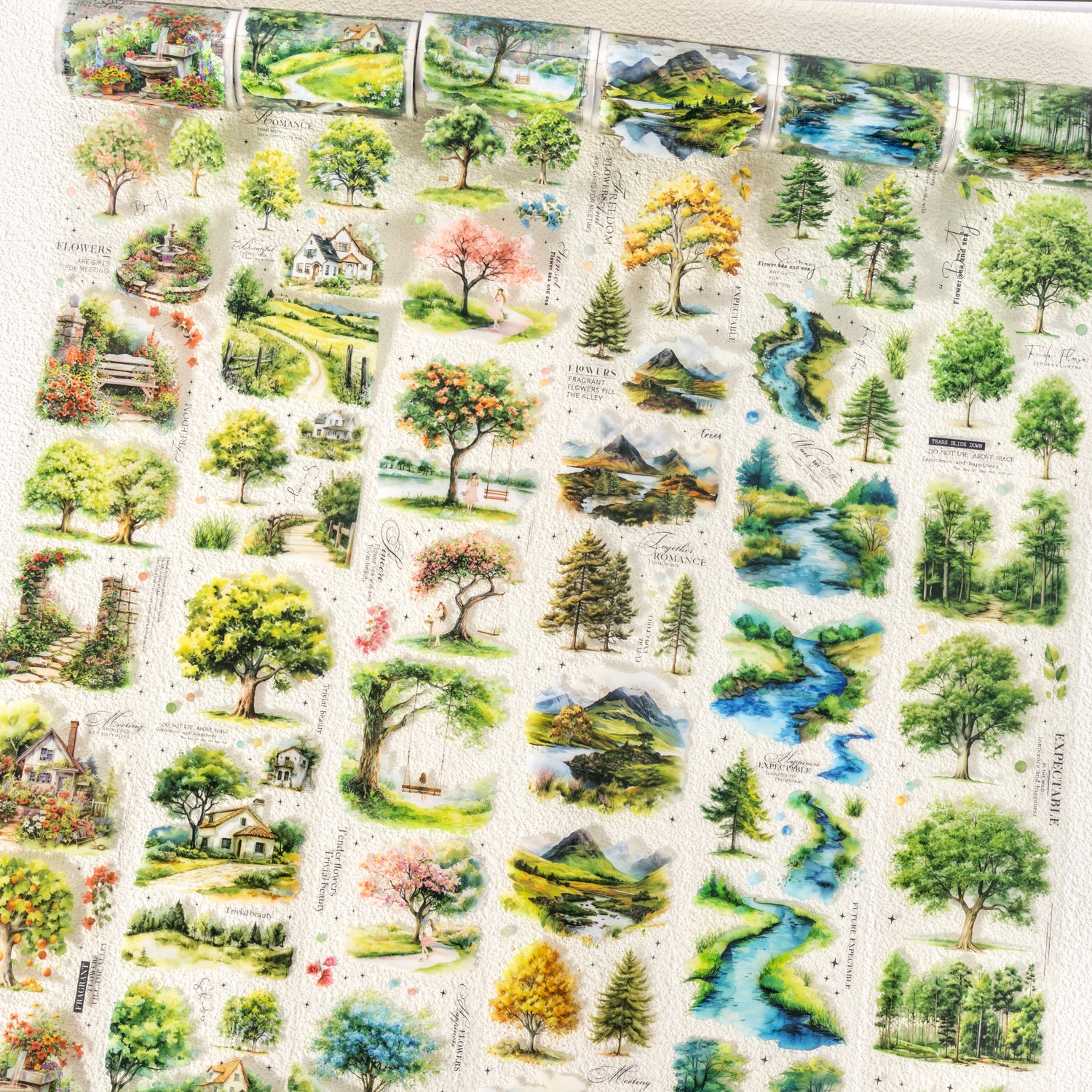 0705 Woods scenery PET tape -6.5cm*2M