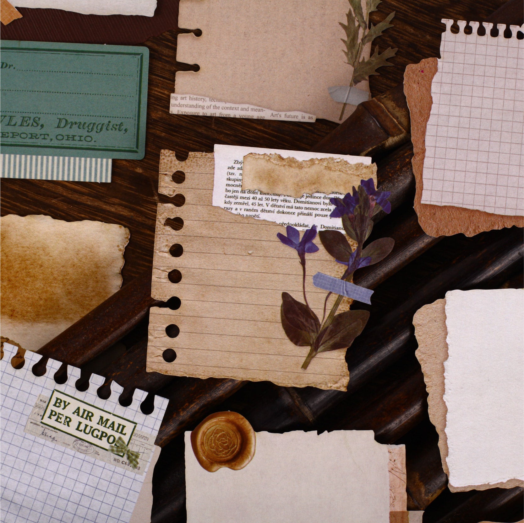 Leave Trace cardstock Sticker -8Pcs each pack