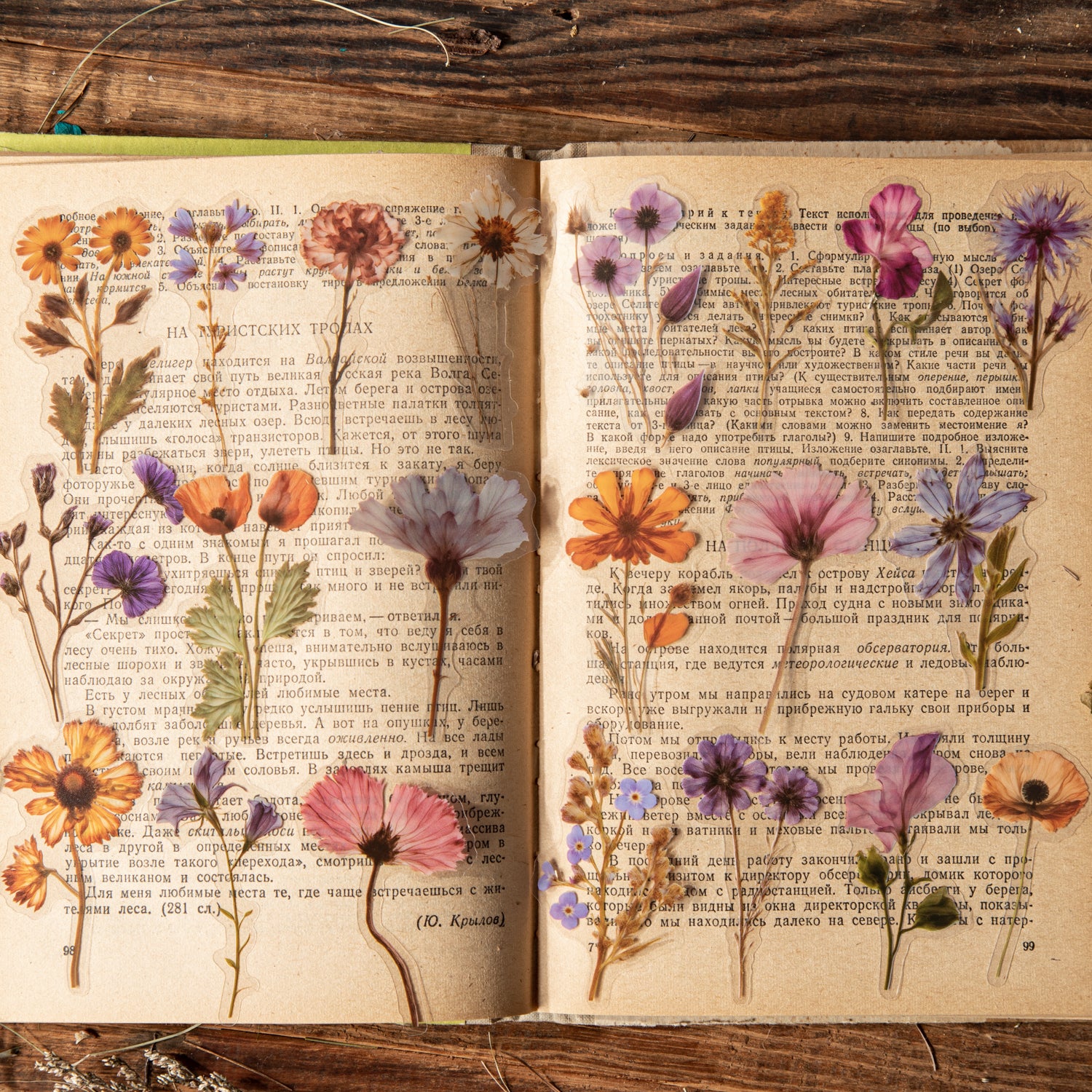 0418 Whispers in The Woods Series Sticker -50Pcs each pack