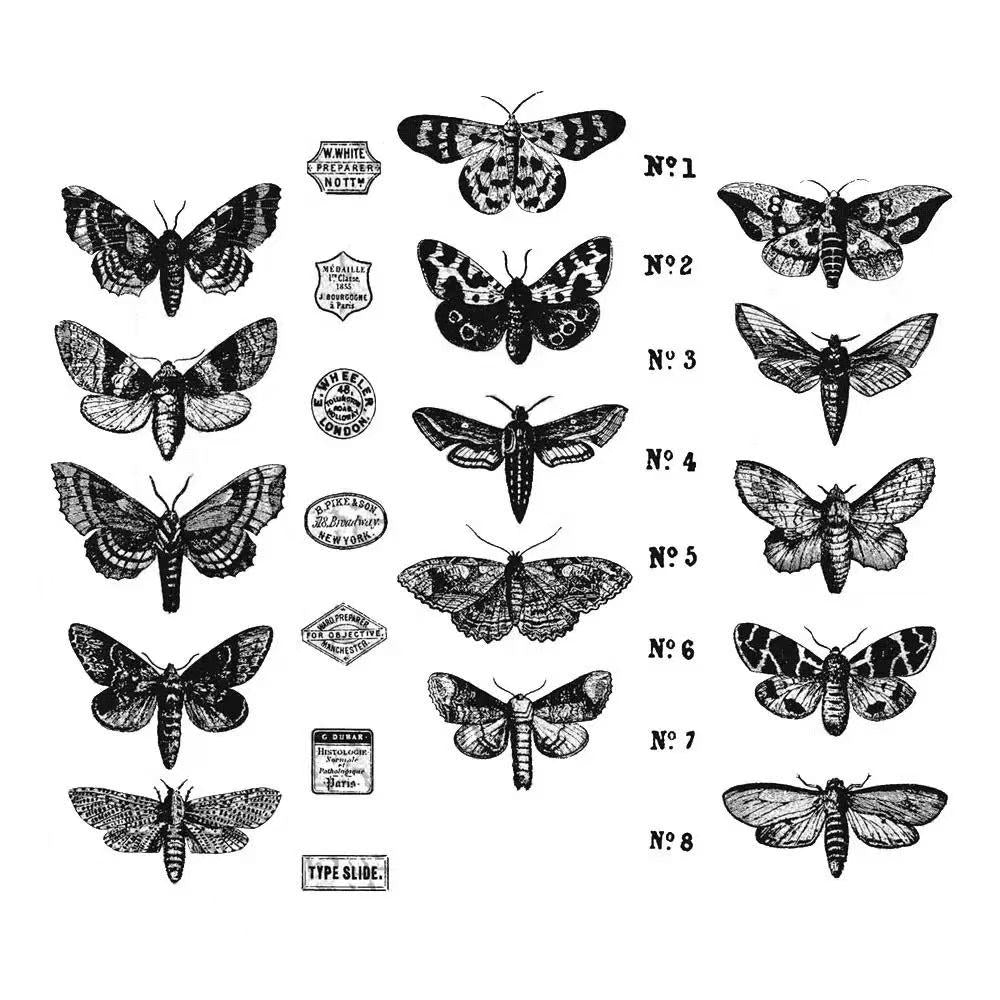 0702 Insect Clear Stamp 15cm*20cm