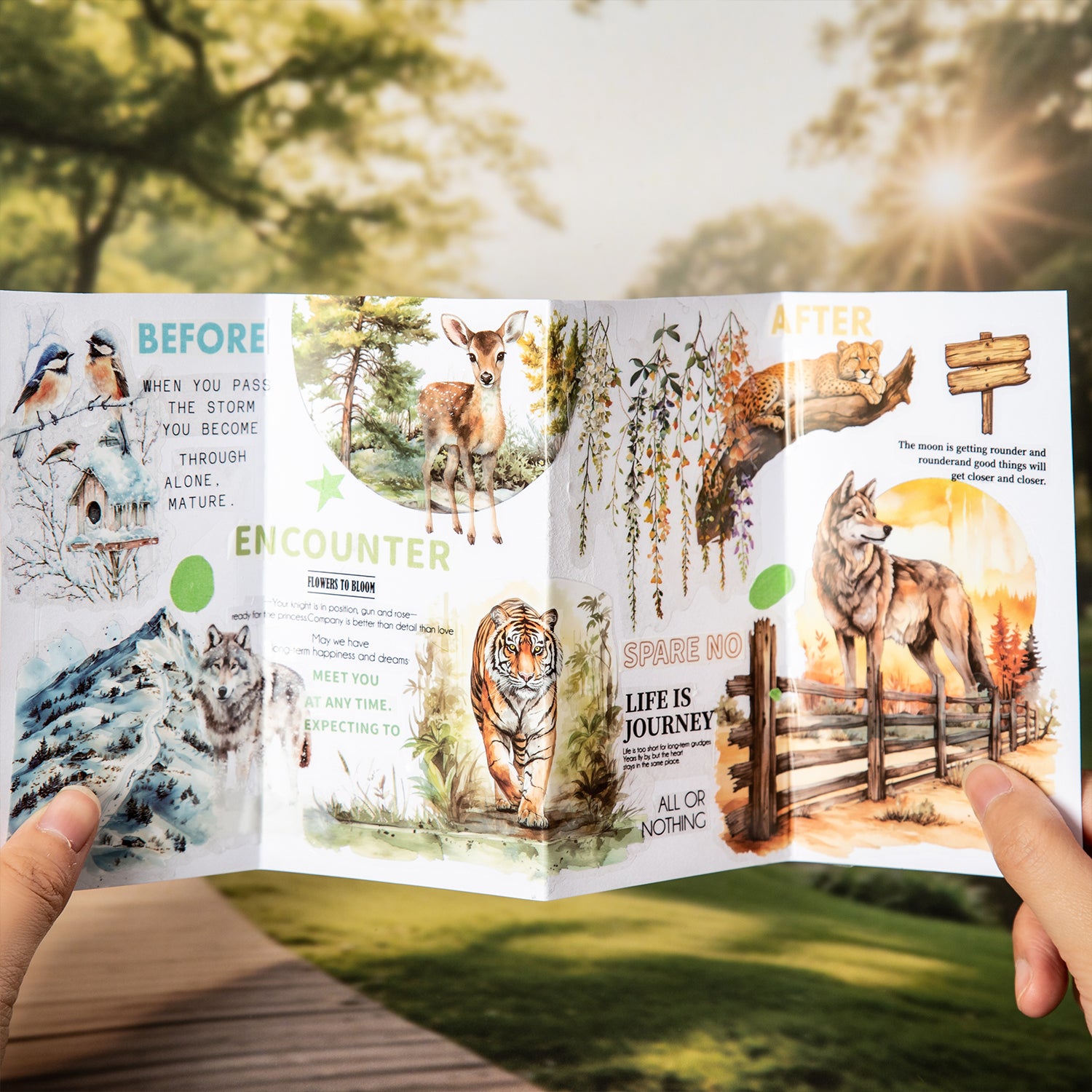 0514 Animal World PET Sticker Book -20Pcs each pack