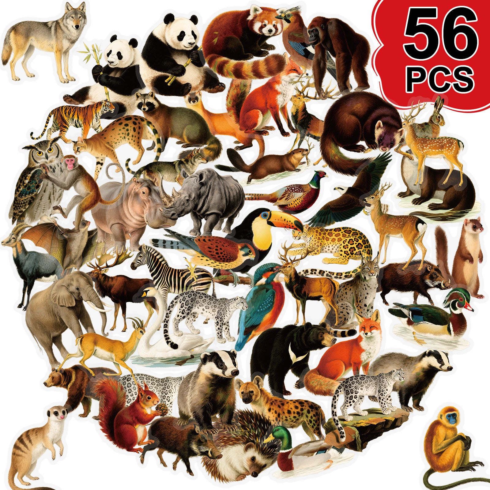 56 Forest animals PET sticker