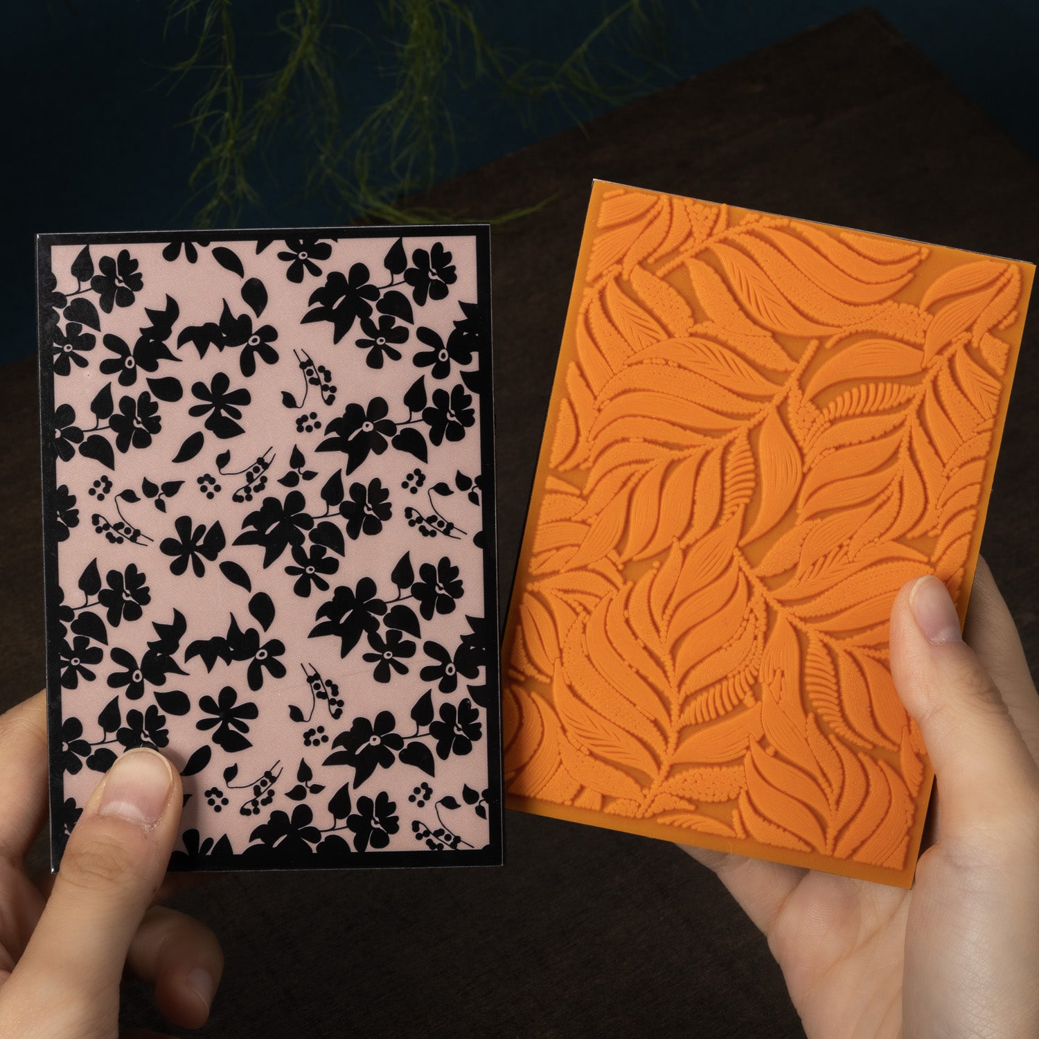 Plant sponge stamp