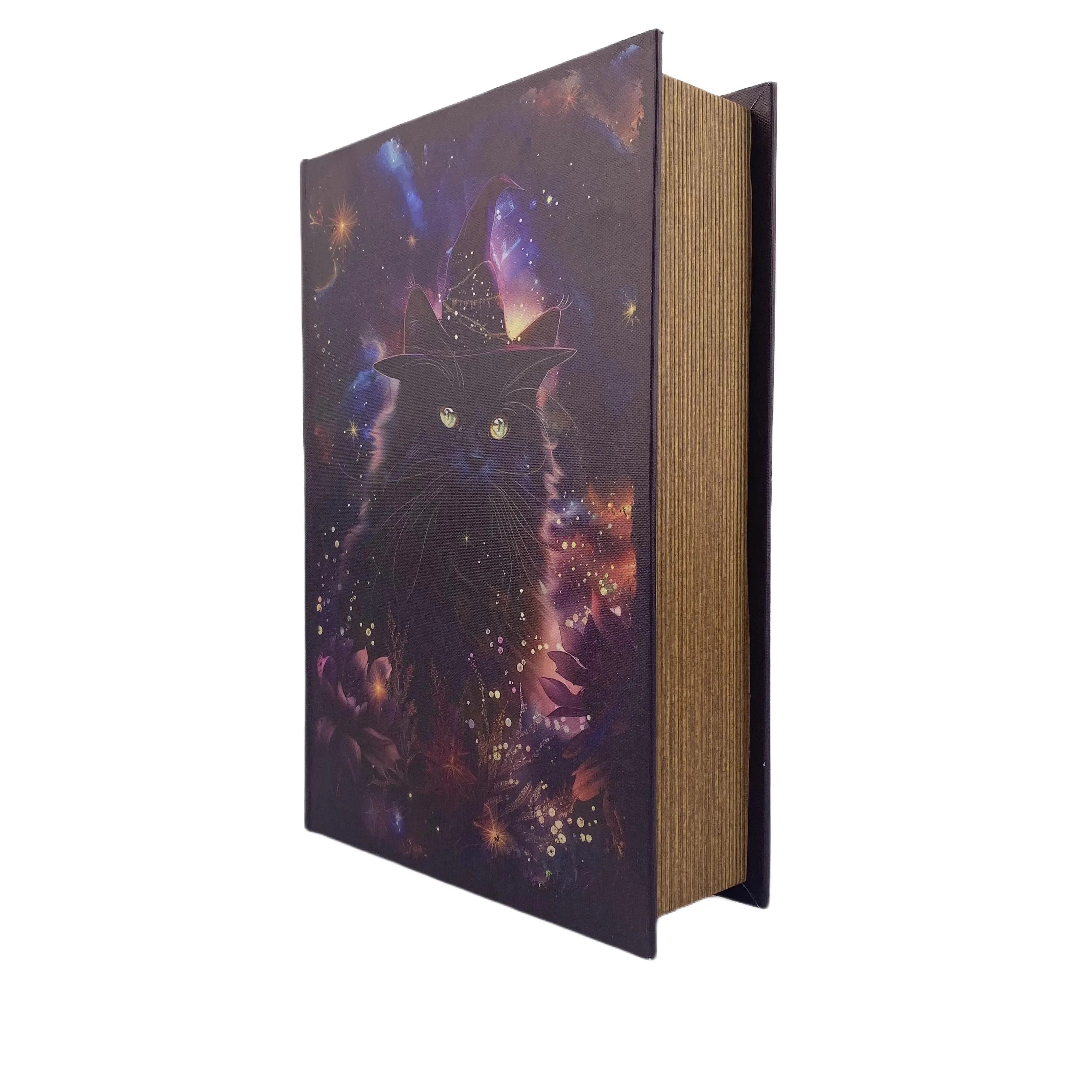 G22- Black magic cat book box