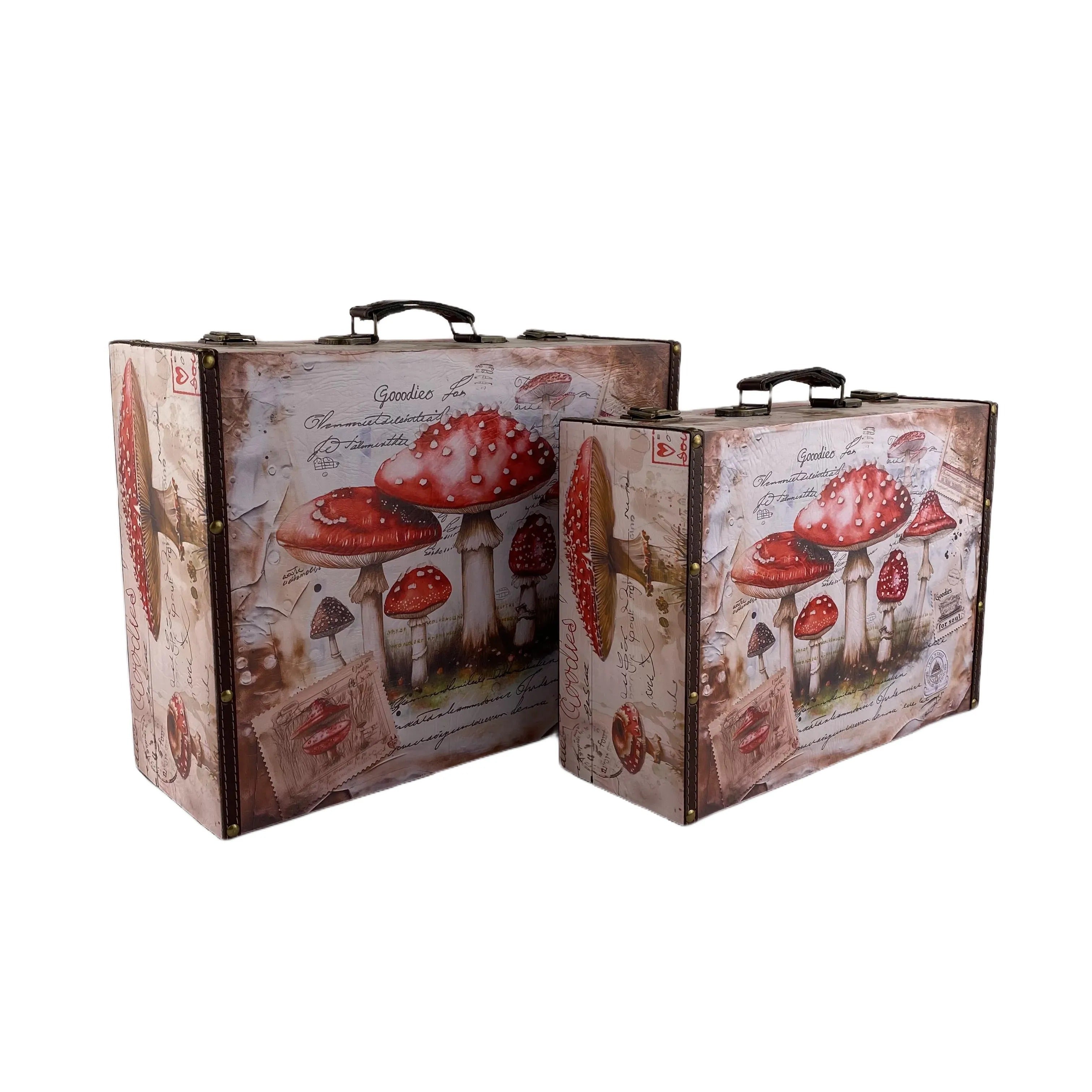 G27- Mushroom suitcase