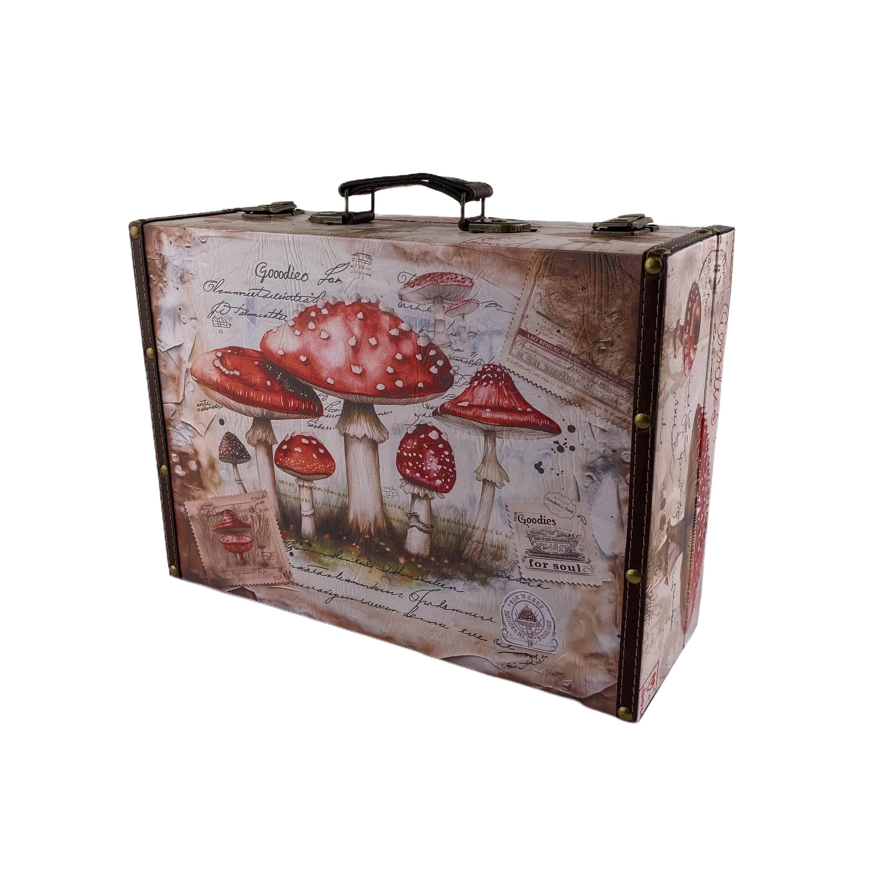G27- Mushroom suitcase