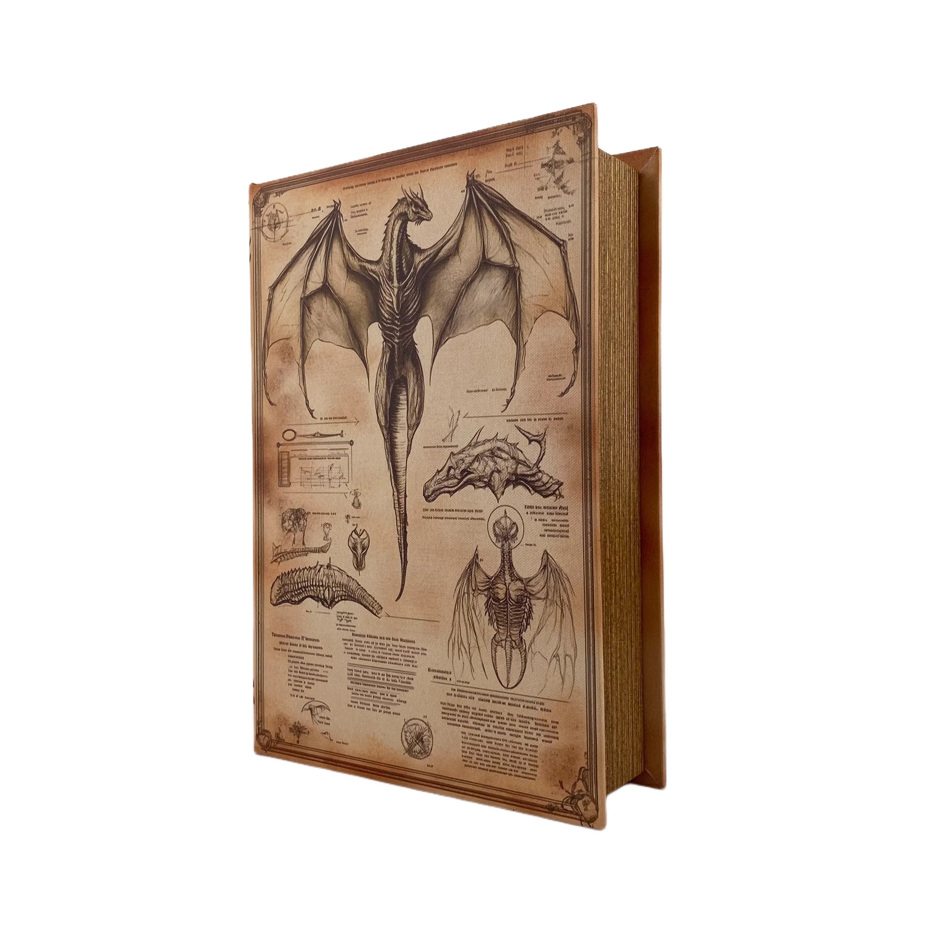 G129- Dragon book box