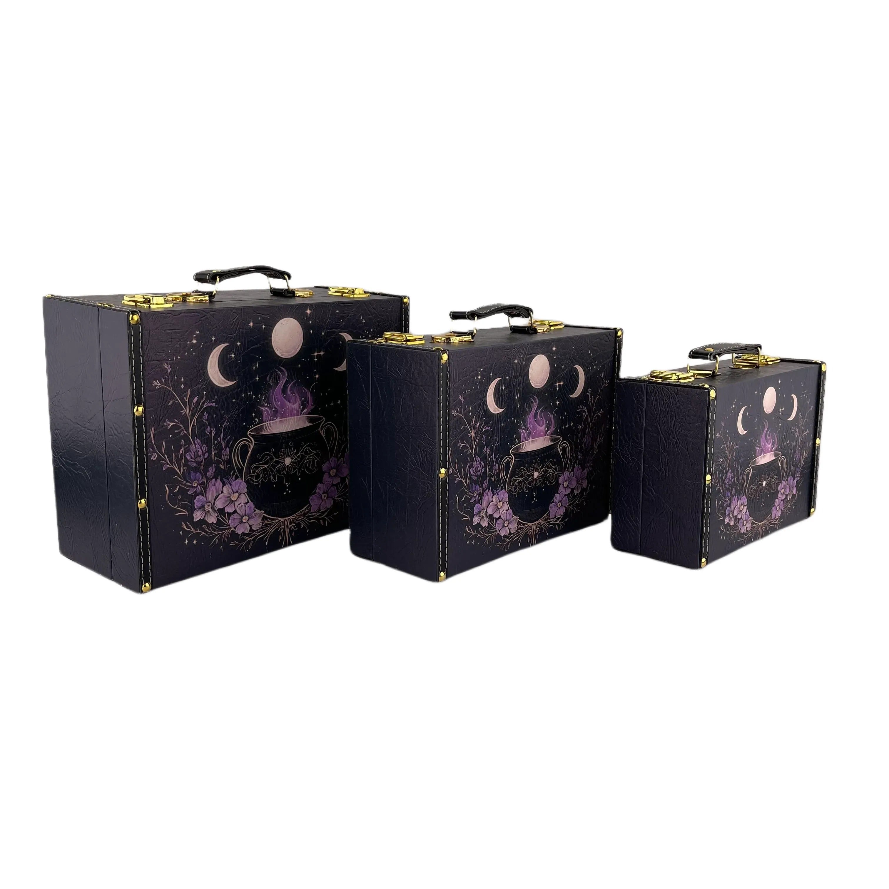 G173- Cauldron suitcase