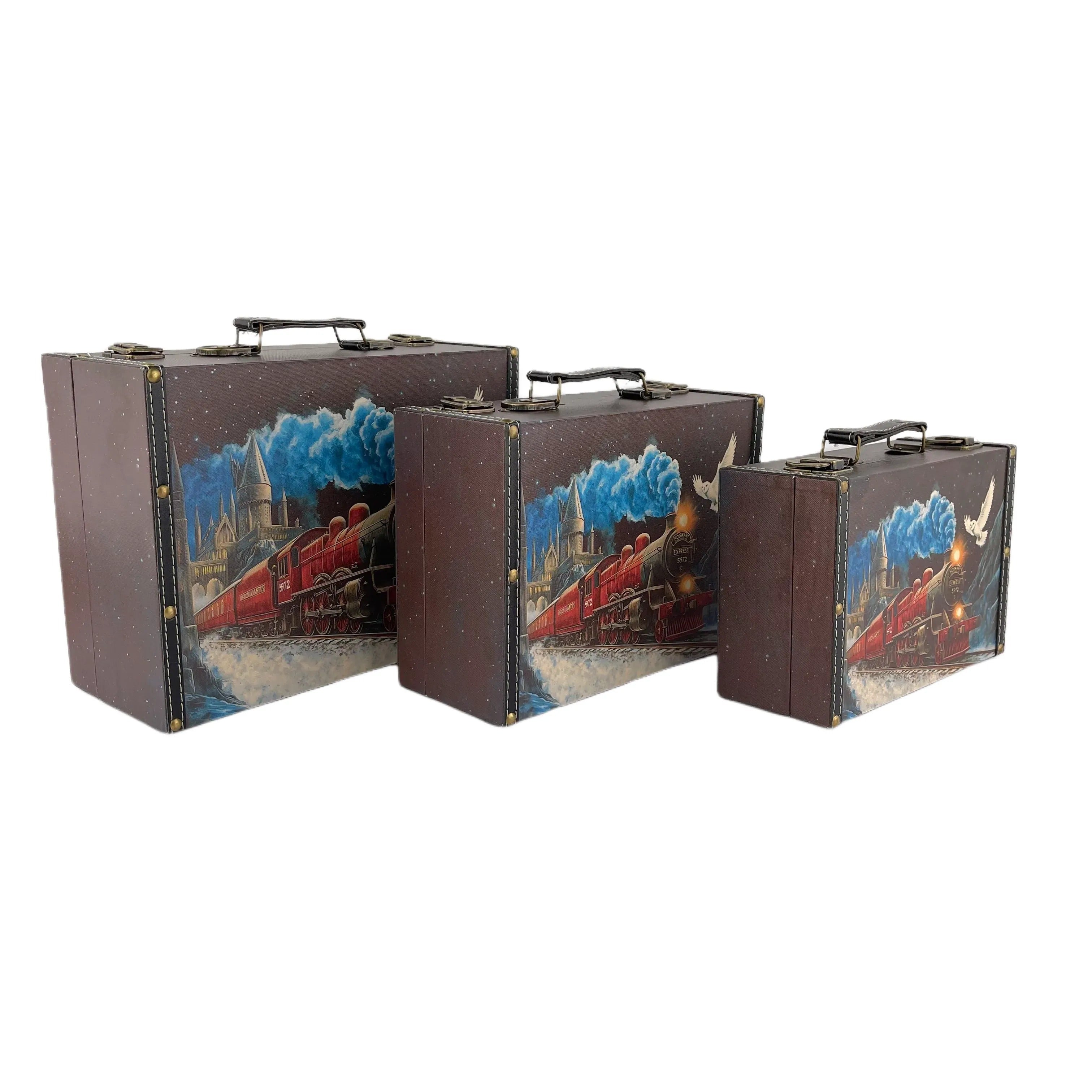 G203- Train suitcase