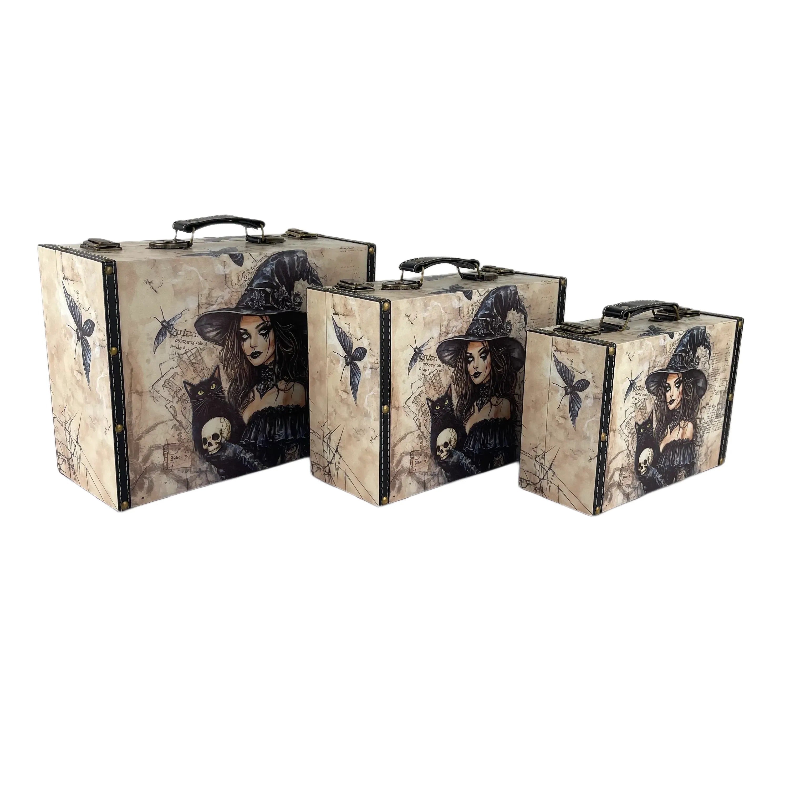 G204- Gothic Witch Suitcase