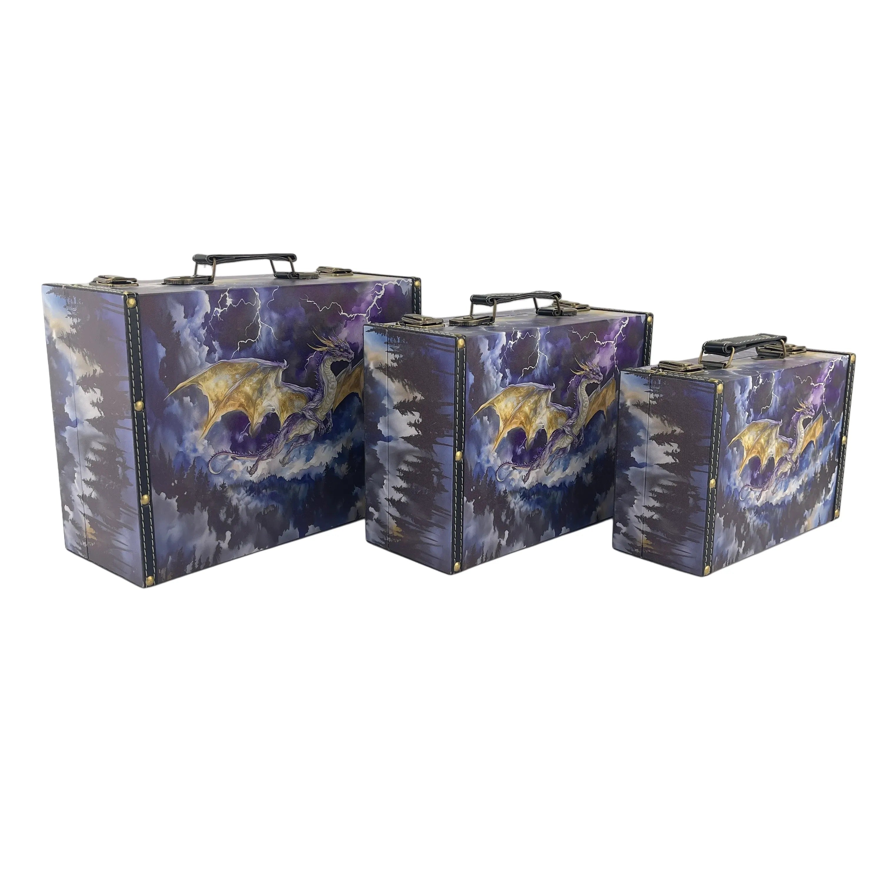 G266- Storm Dragon Suitcase