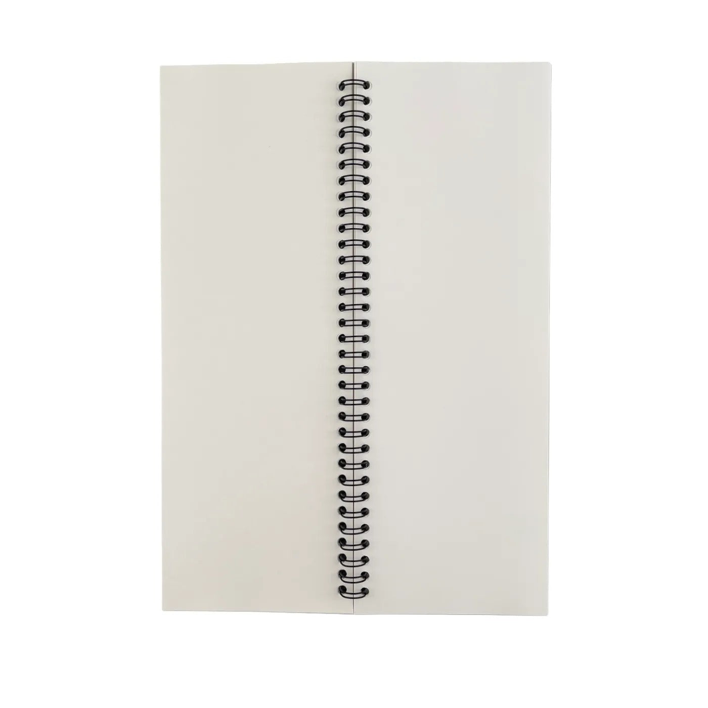 A4 half dragonfly release book