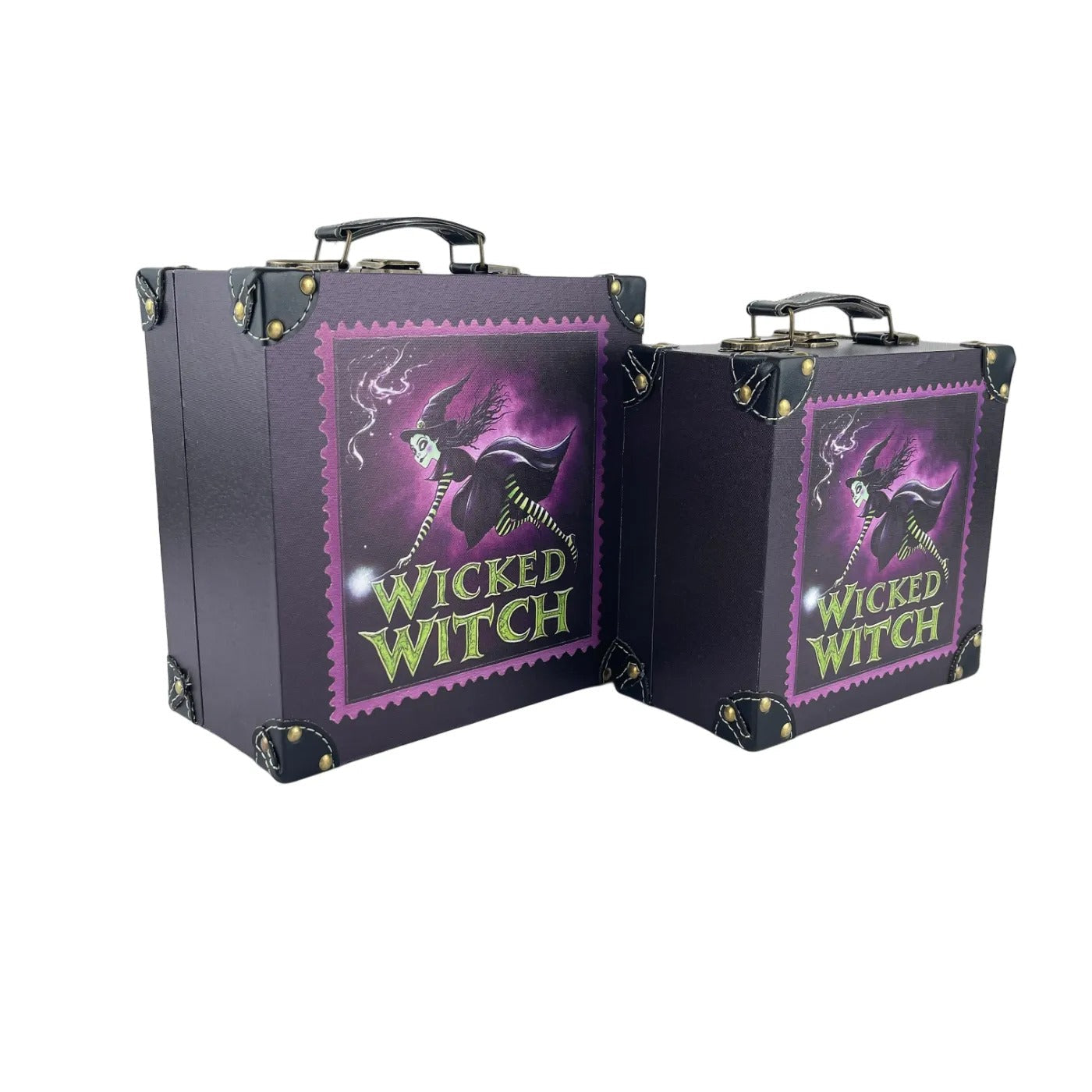 G316- Wicked Witch Suitcase
