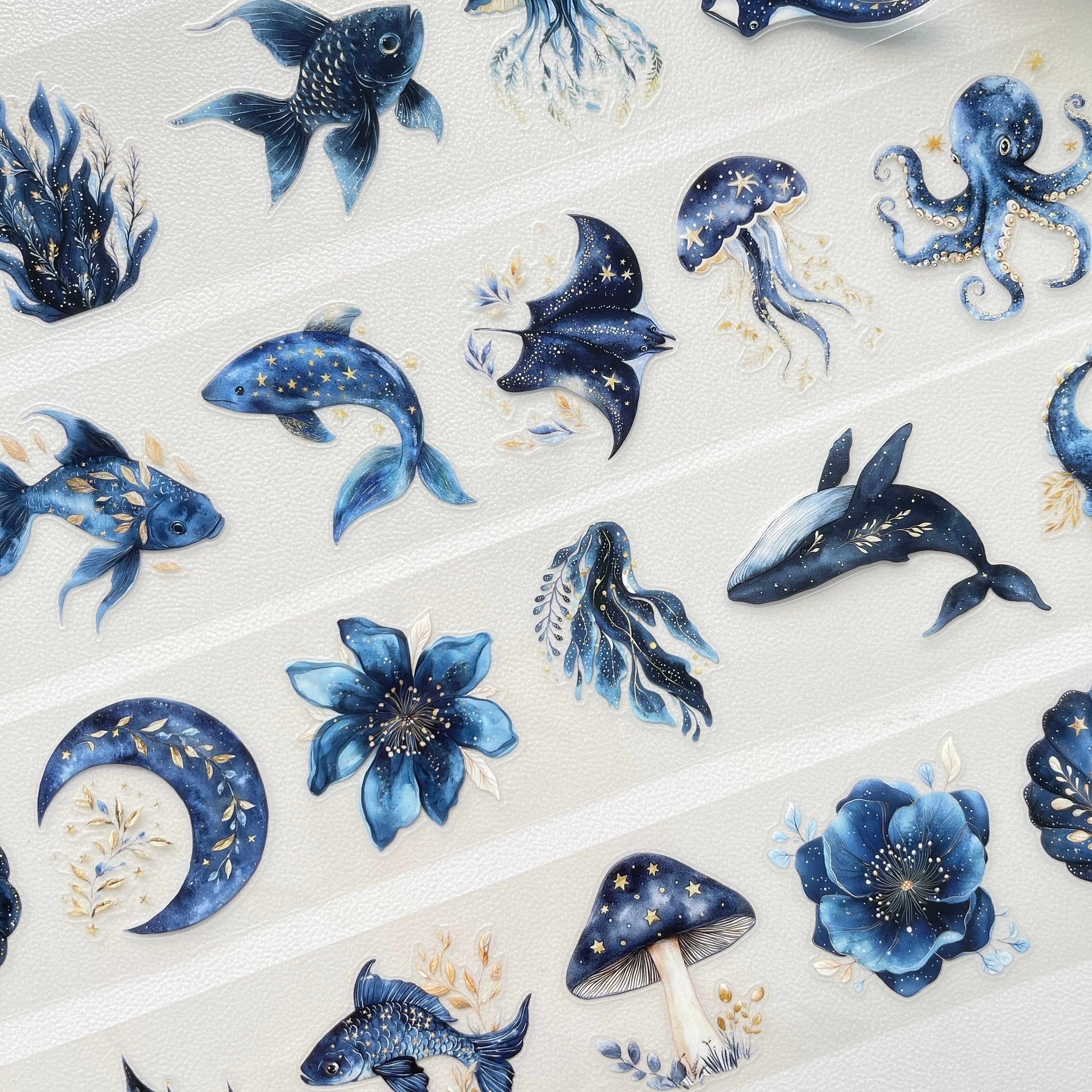 Marine life pre-cut PET tape 1 loop 5.5CM*2M