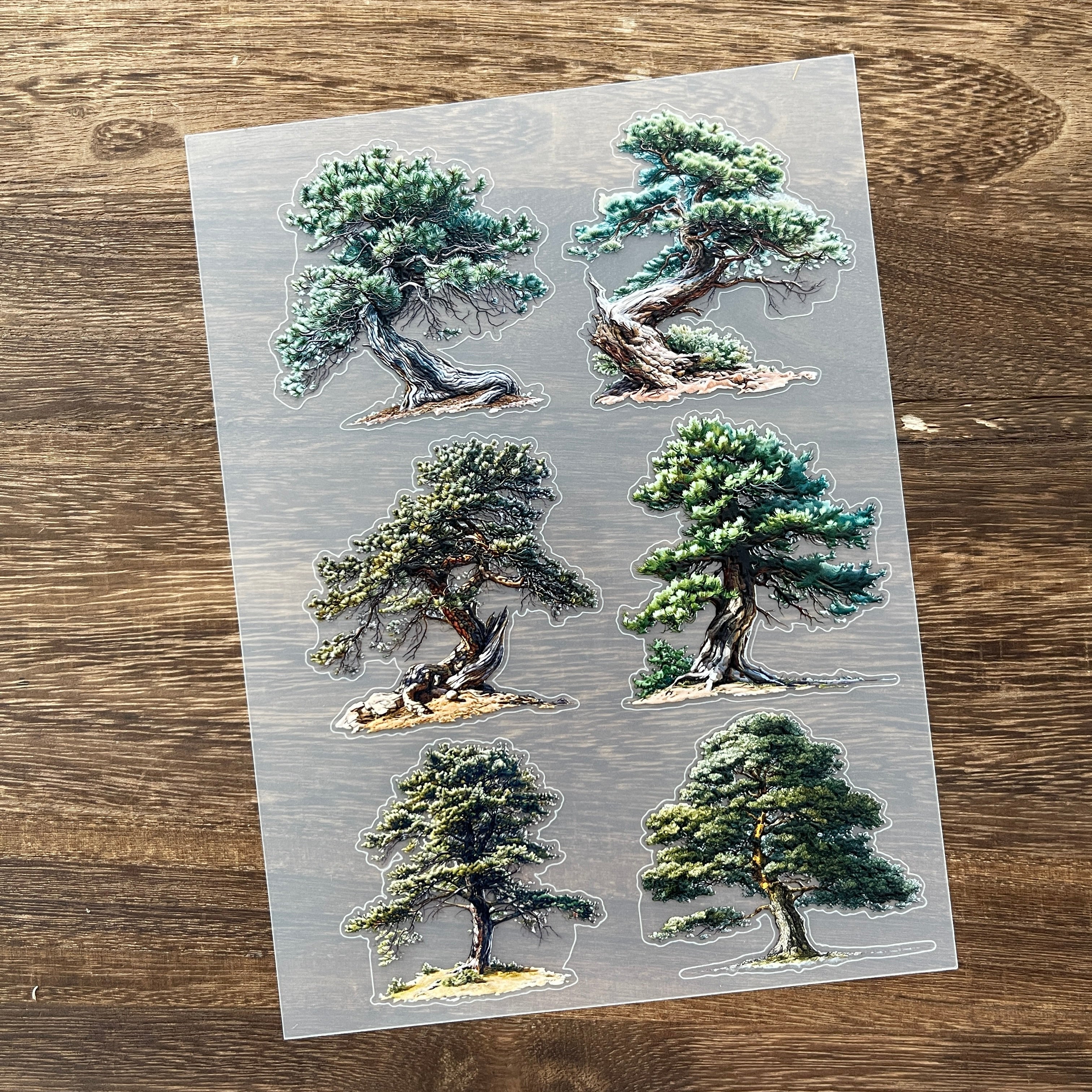 3D Pine PET Stickers 1pcs