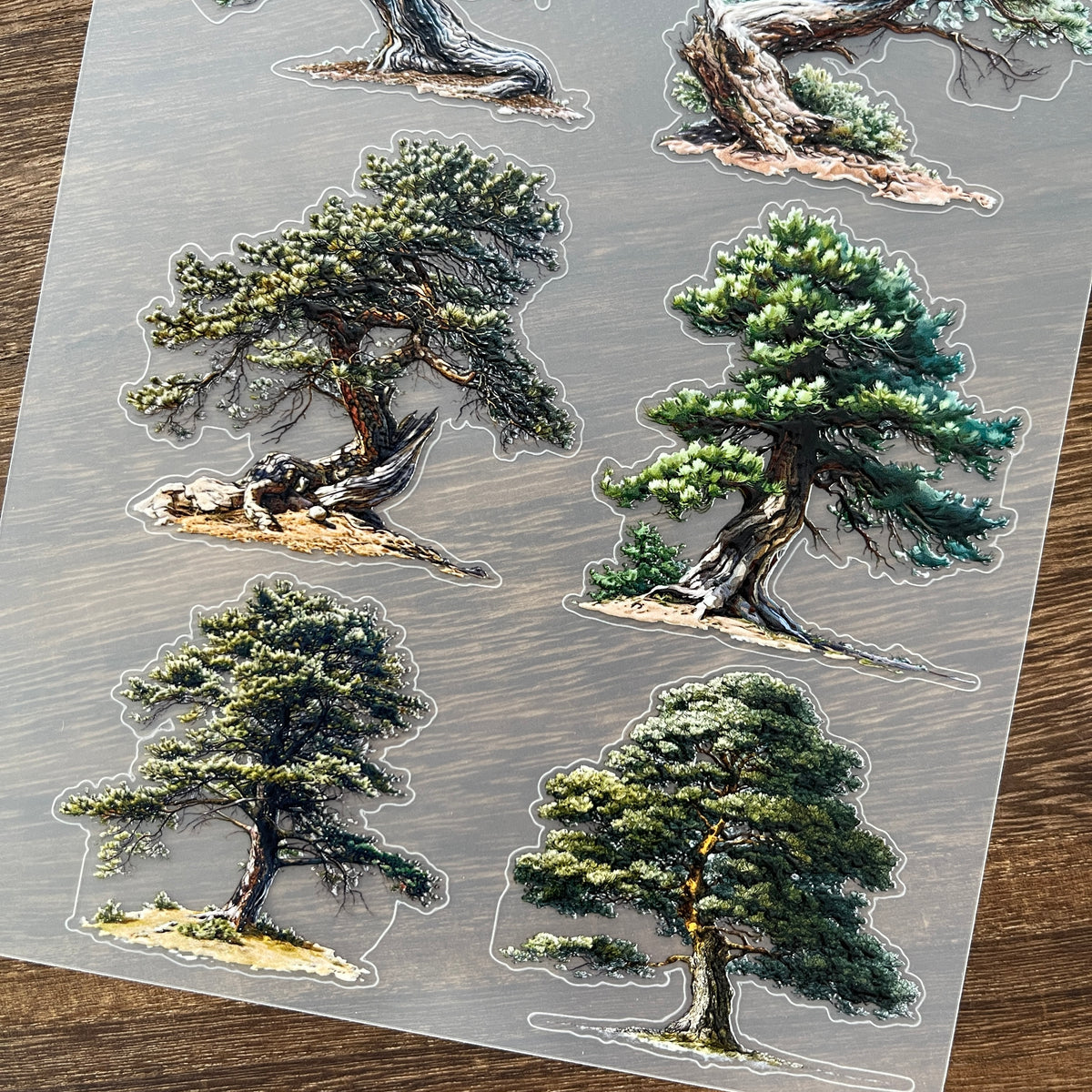 Full pine PET sticker sheet