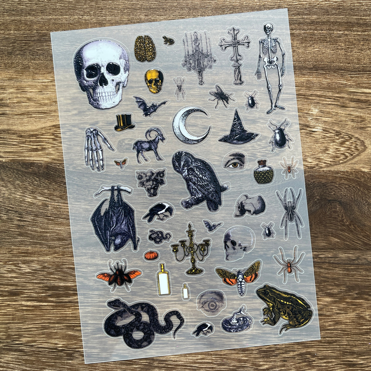 Full vintage halloween skeleton PET sticker sheet