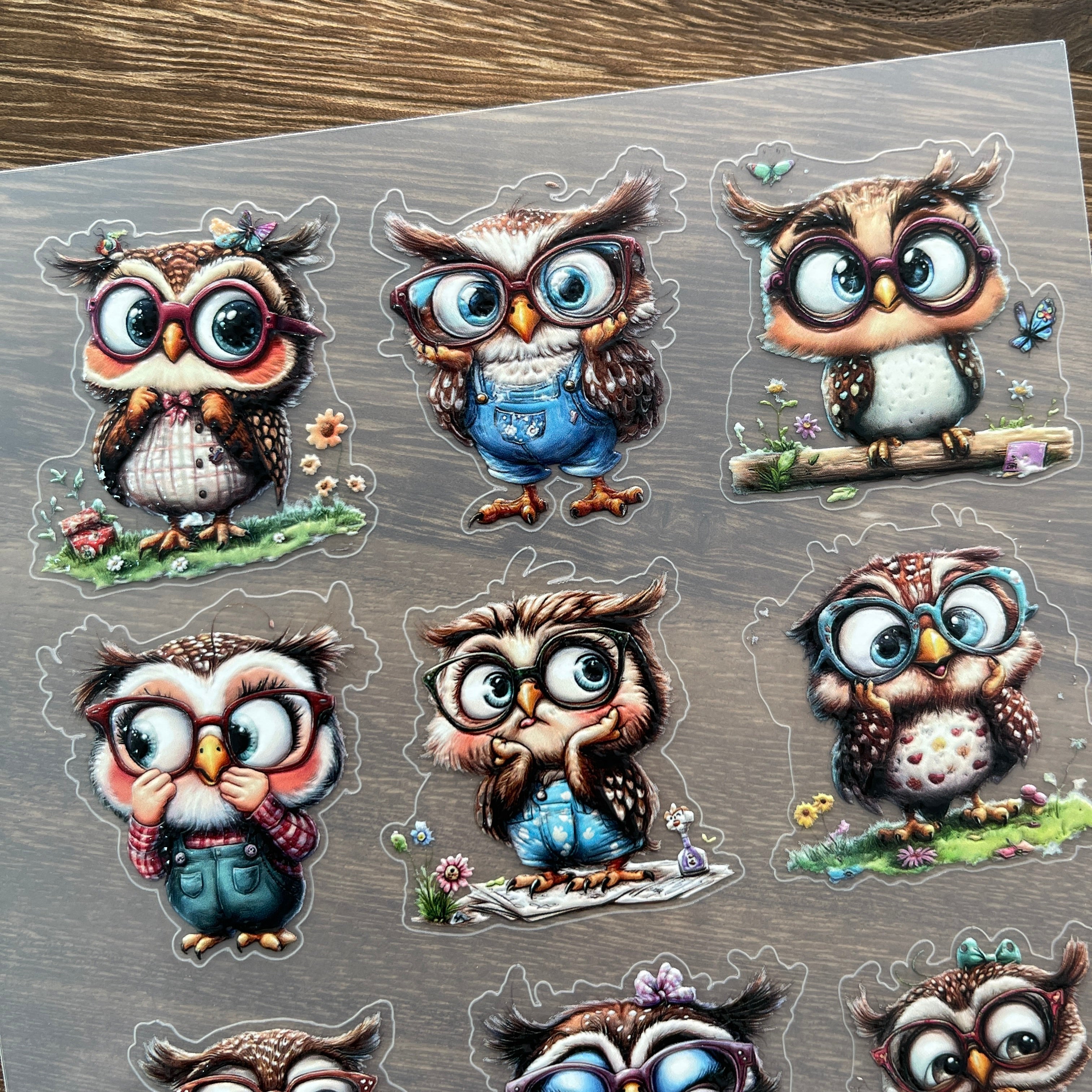 3D Owl PET Stickers 1pcs