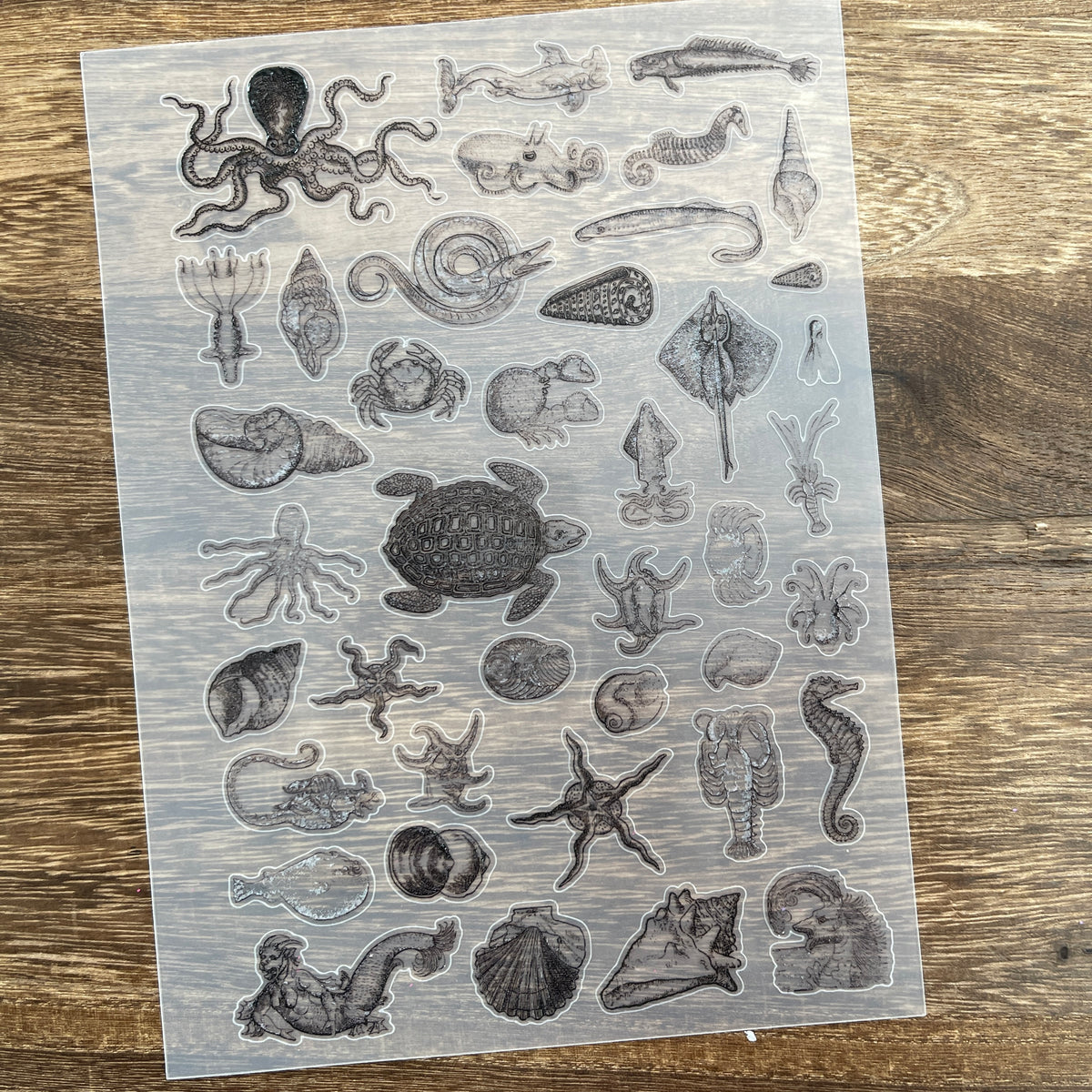 Full marine life PET sticker sheet