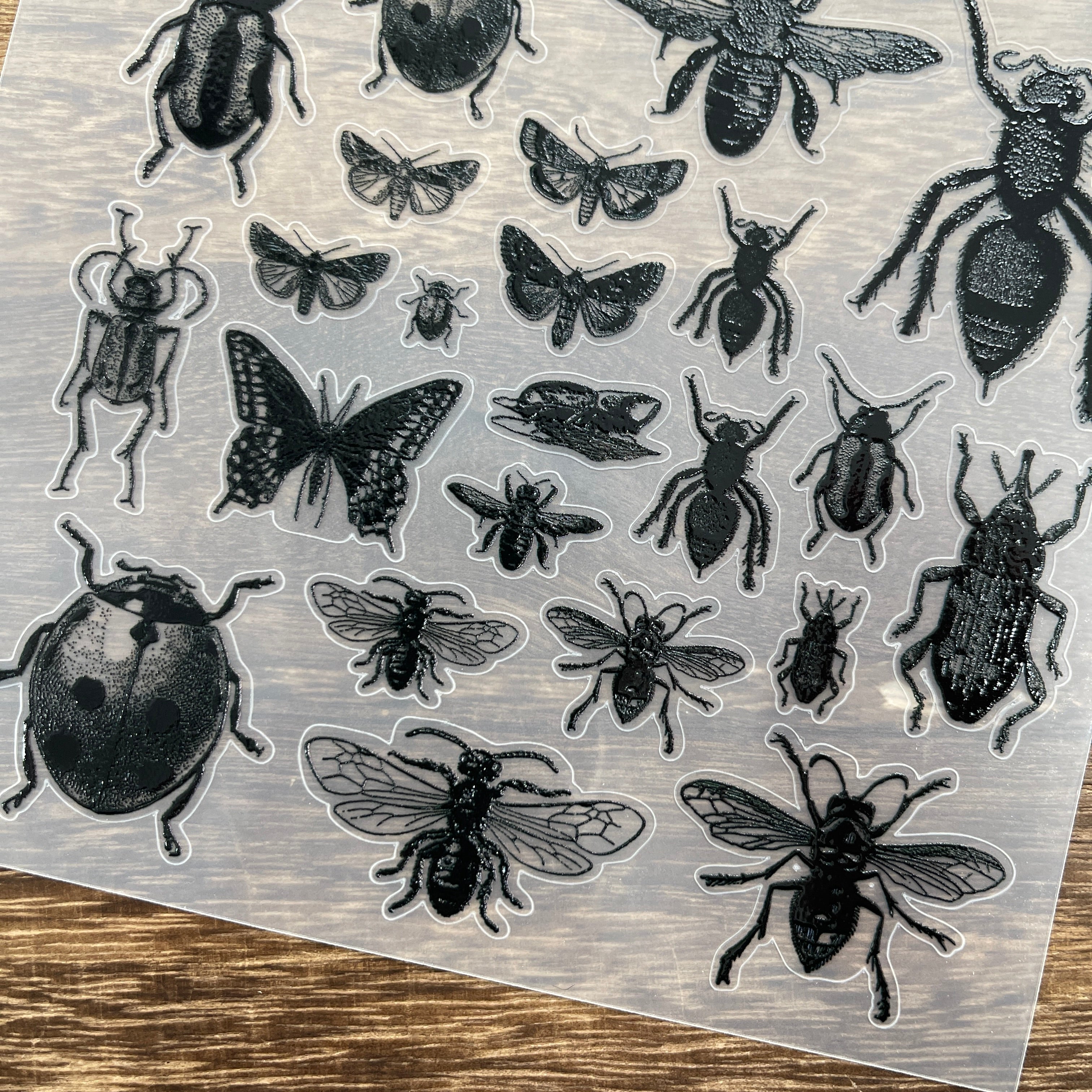 3D Black insect PET Stickers 1pcs