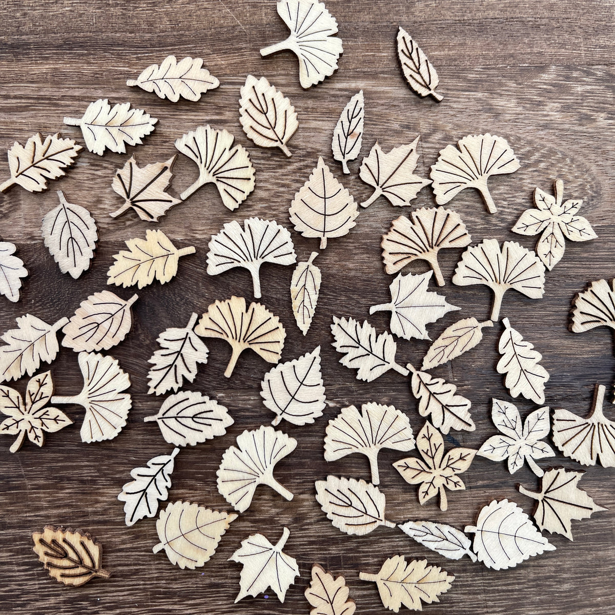 Leaves pile