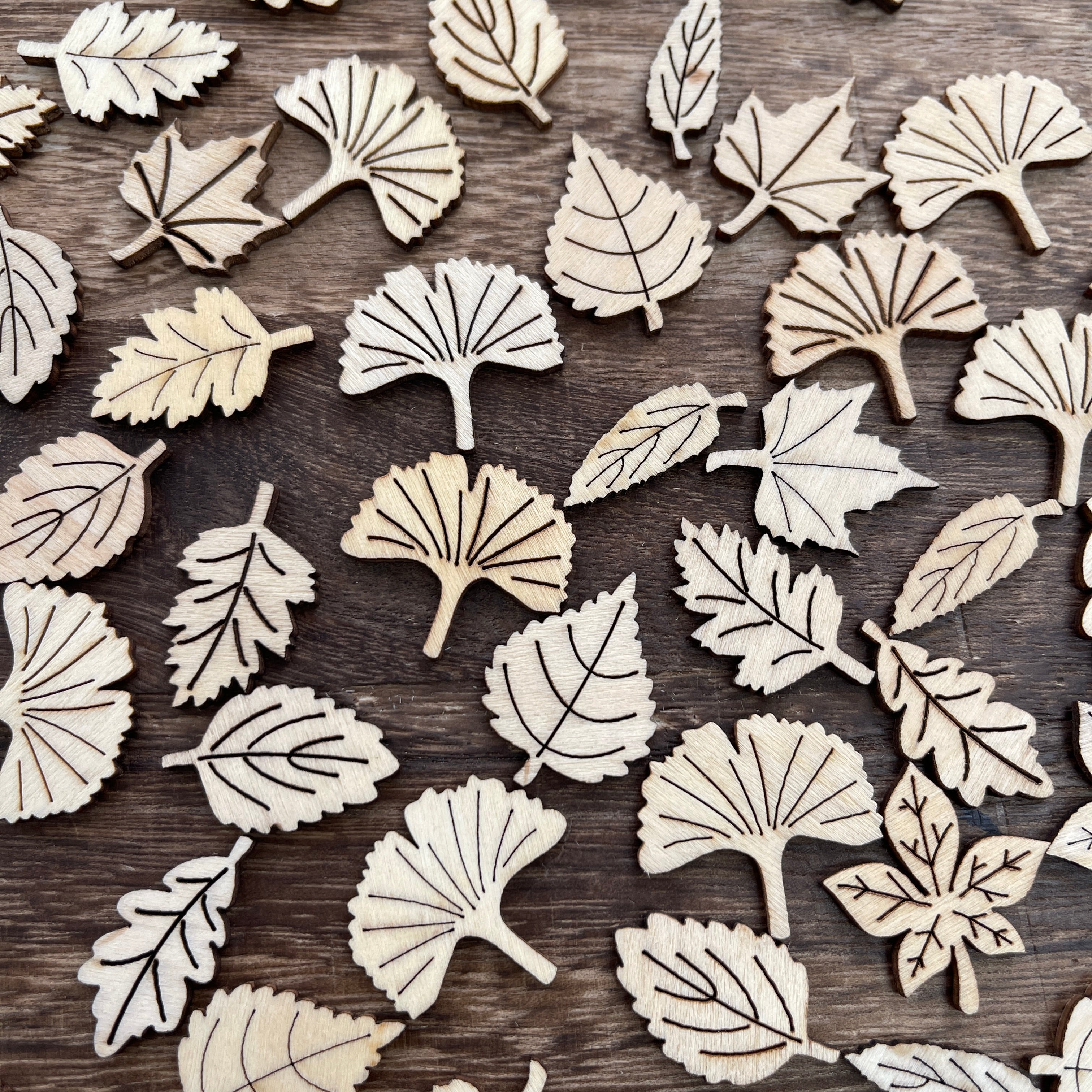 1121 Leaf wood chips 1 pack 50 pcs