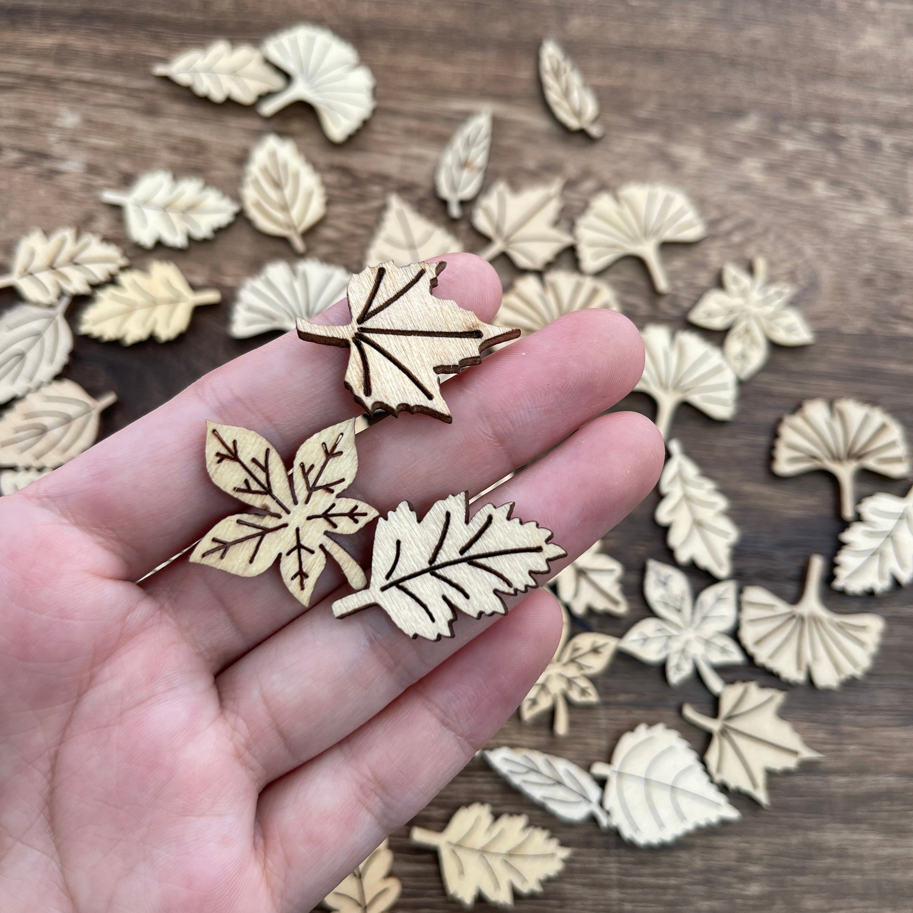 1121 Leaf wood chips 1 pack 50 pcs