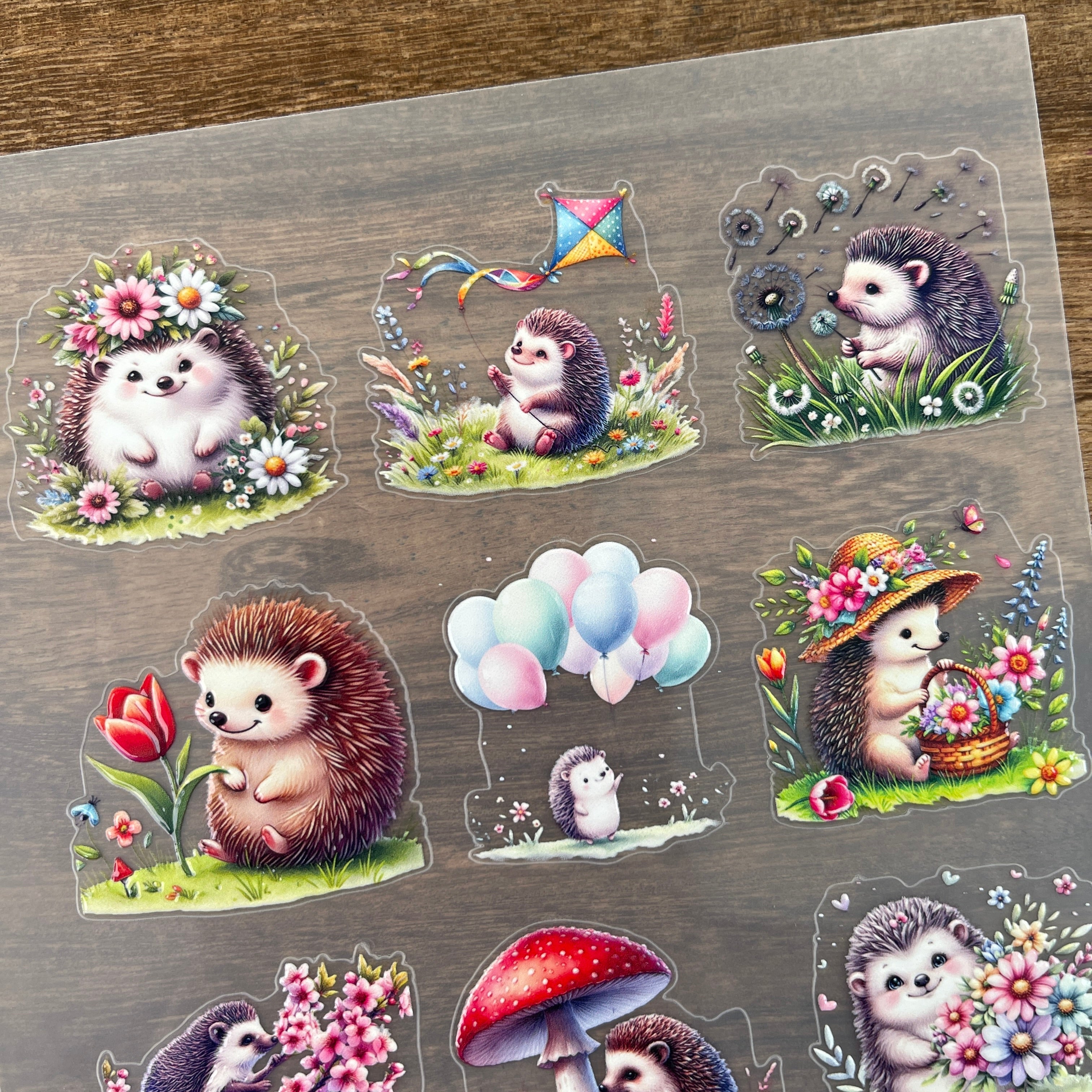 3D Spring hedgehog PET Sticker 1 Pcs