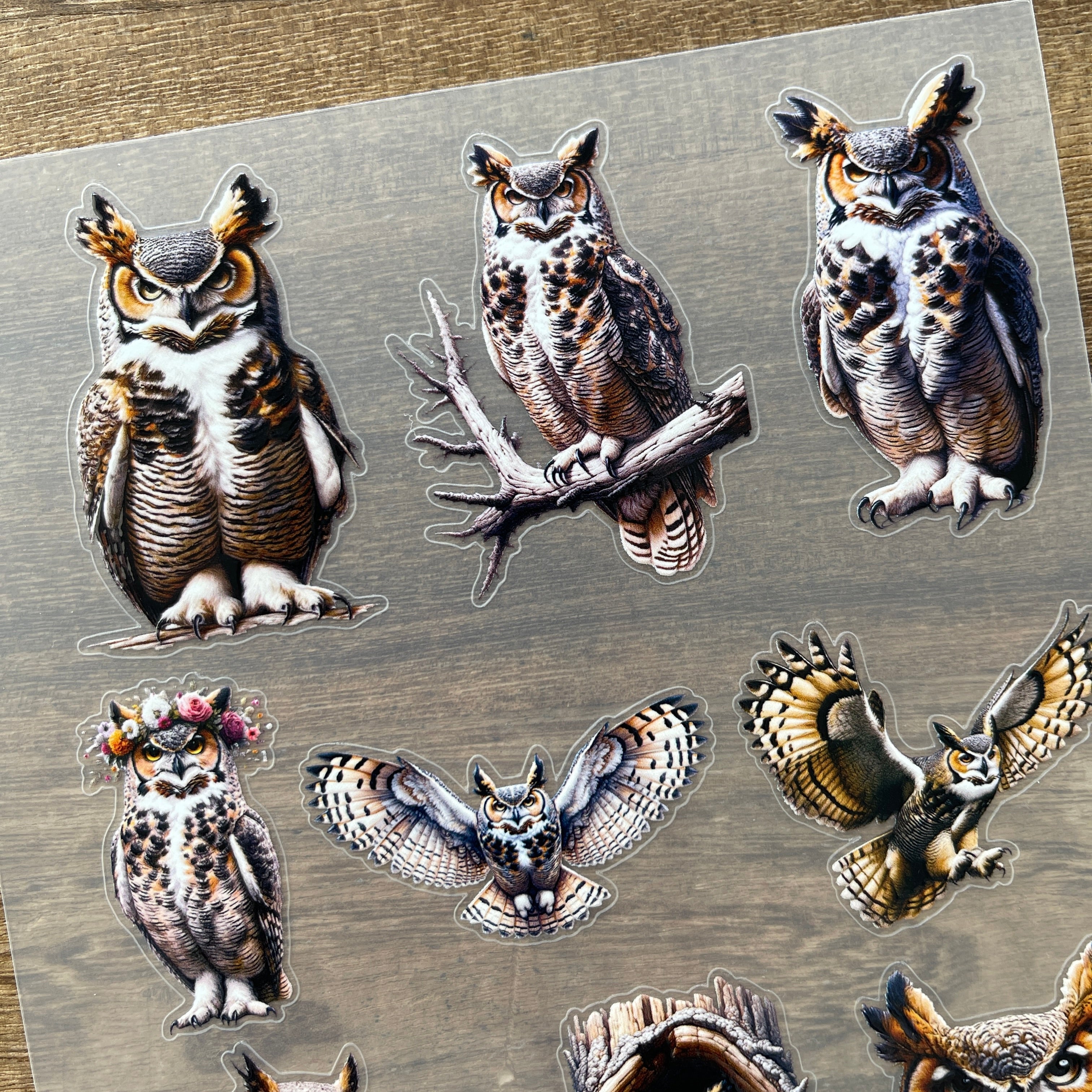 3D Owl PET Sticker 1 Pcs