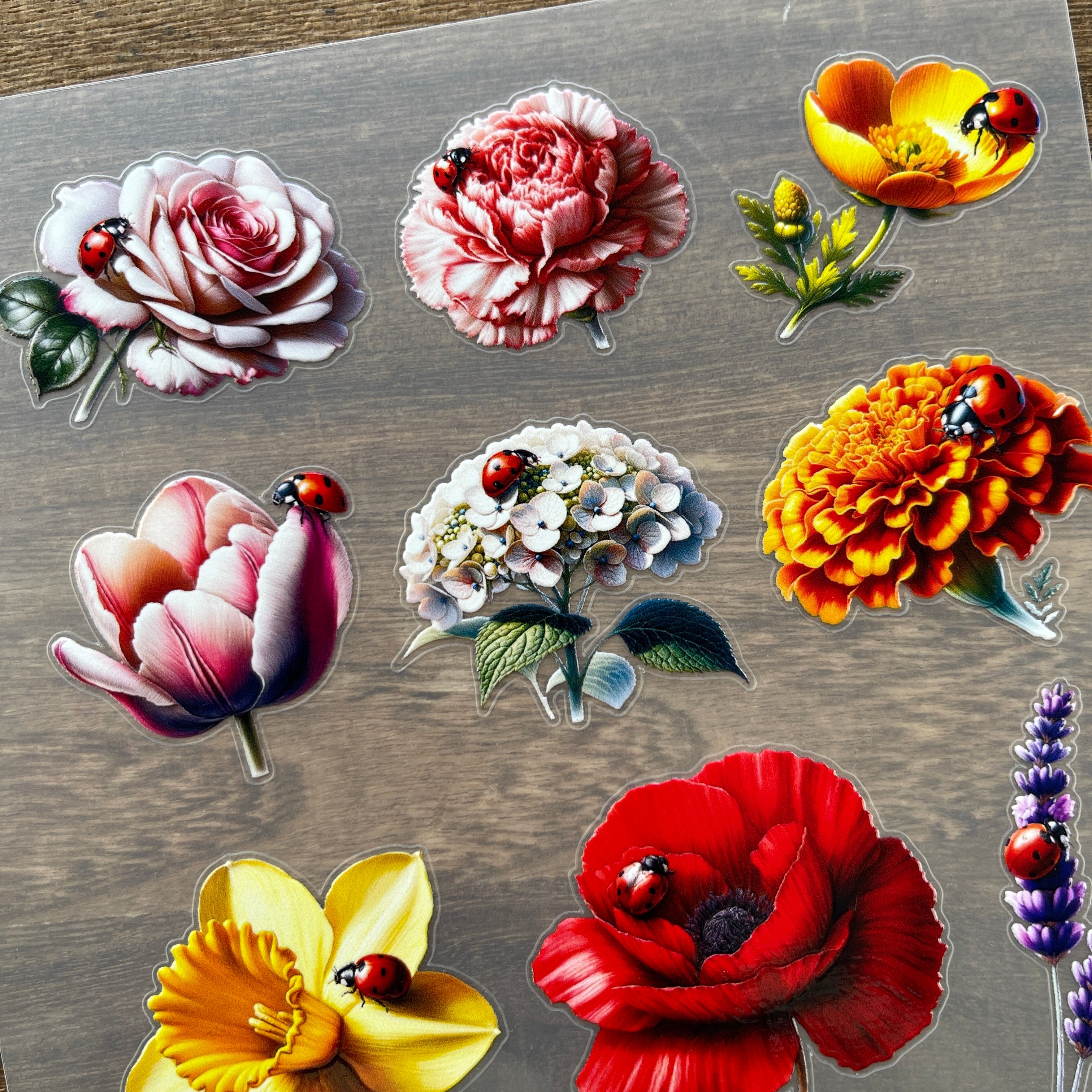 3D Ladybug on flower PET Sticker 1 Pcs