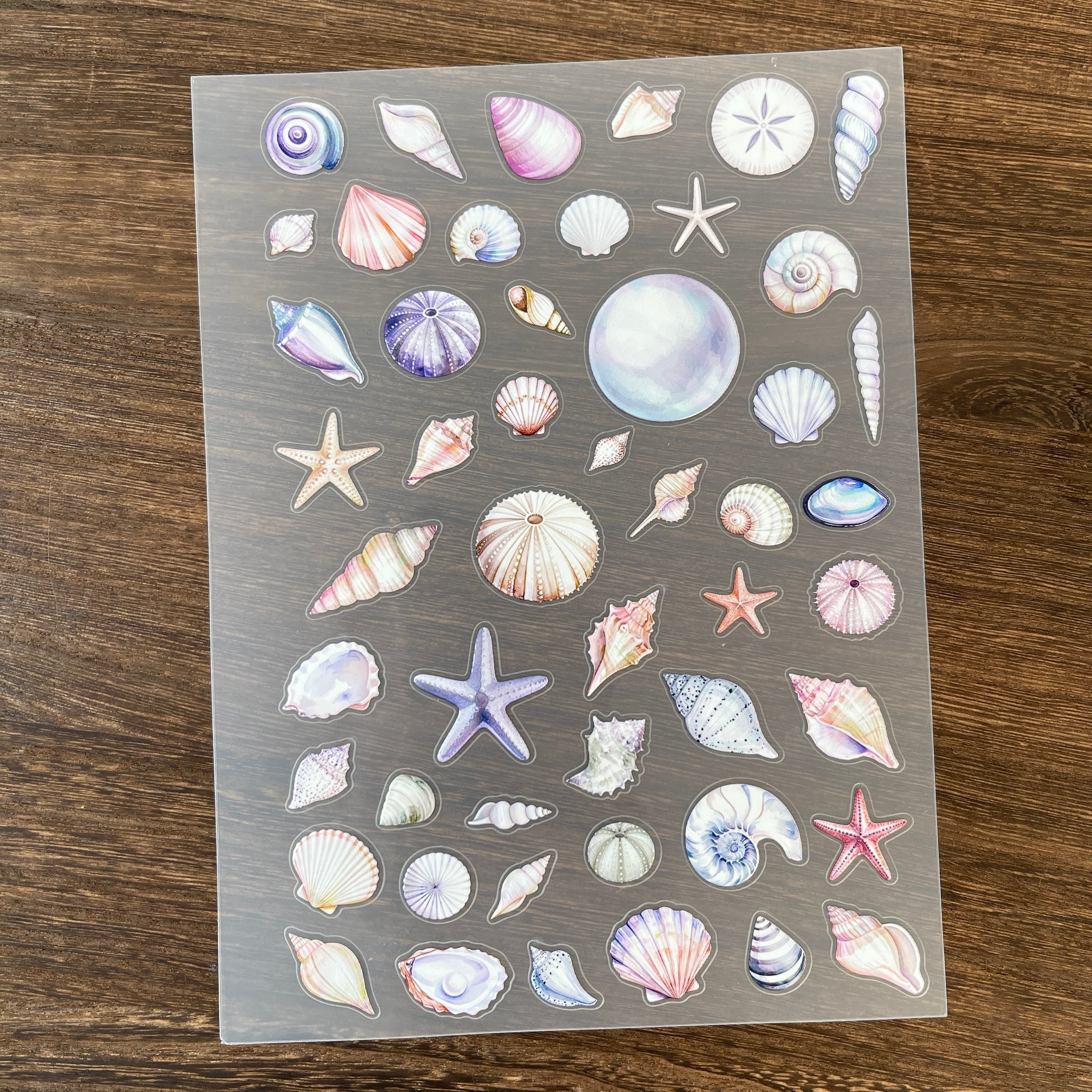 3D Shell PET Sticker 1 Pcs