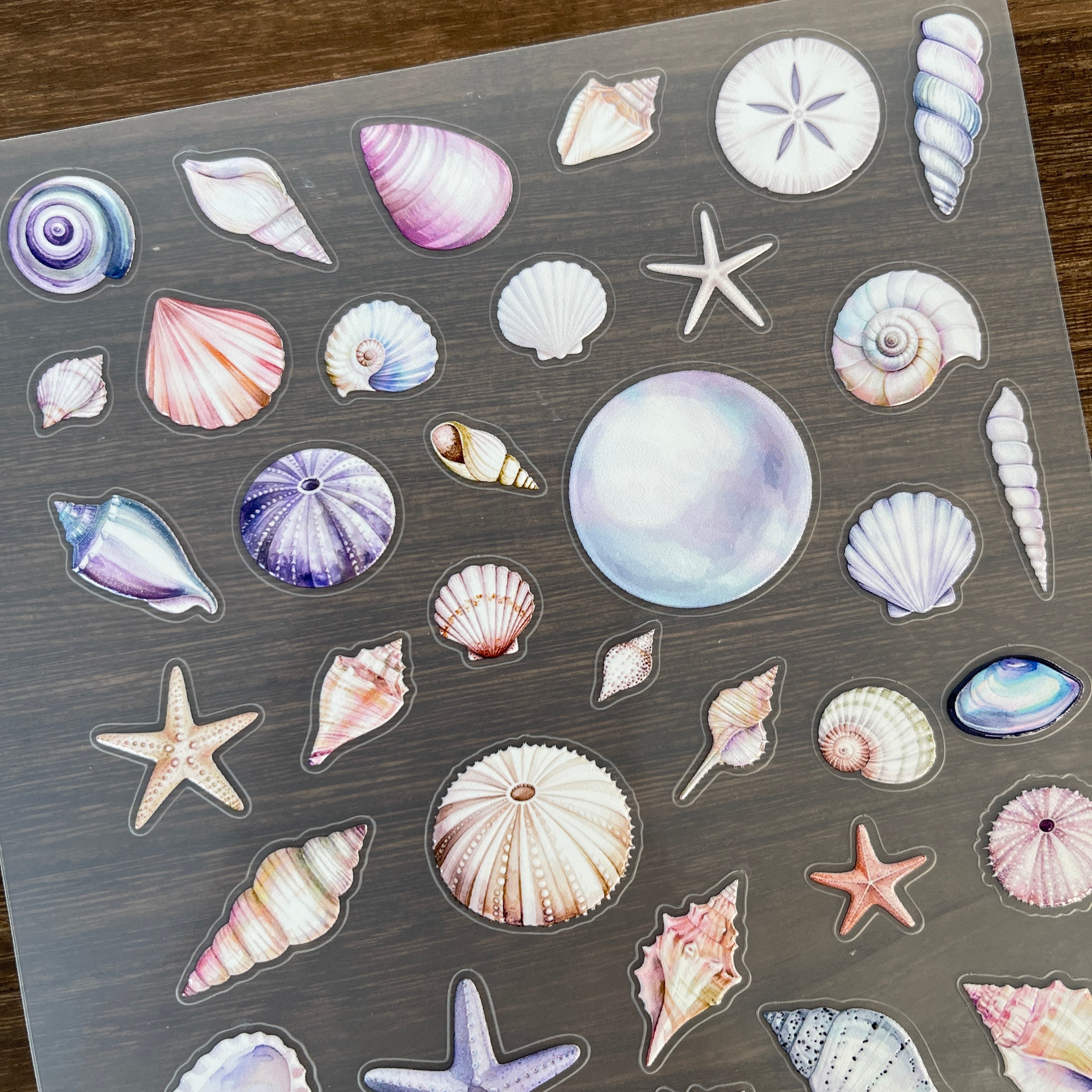 3D Shell PET Sticker 1 Pcs