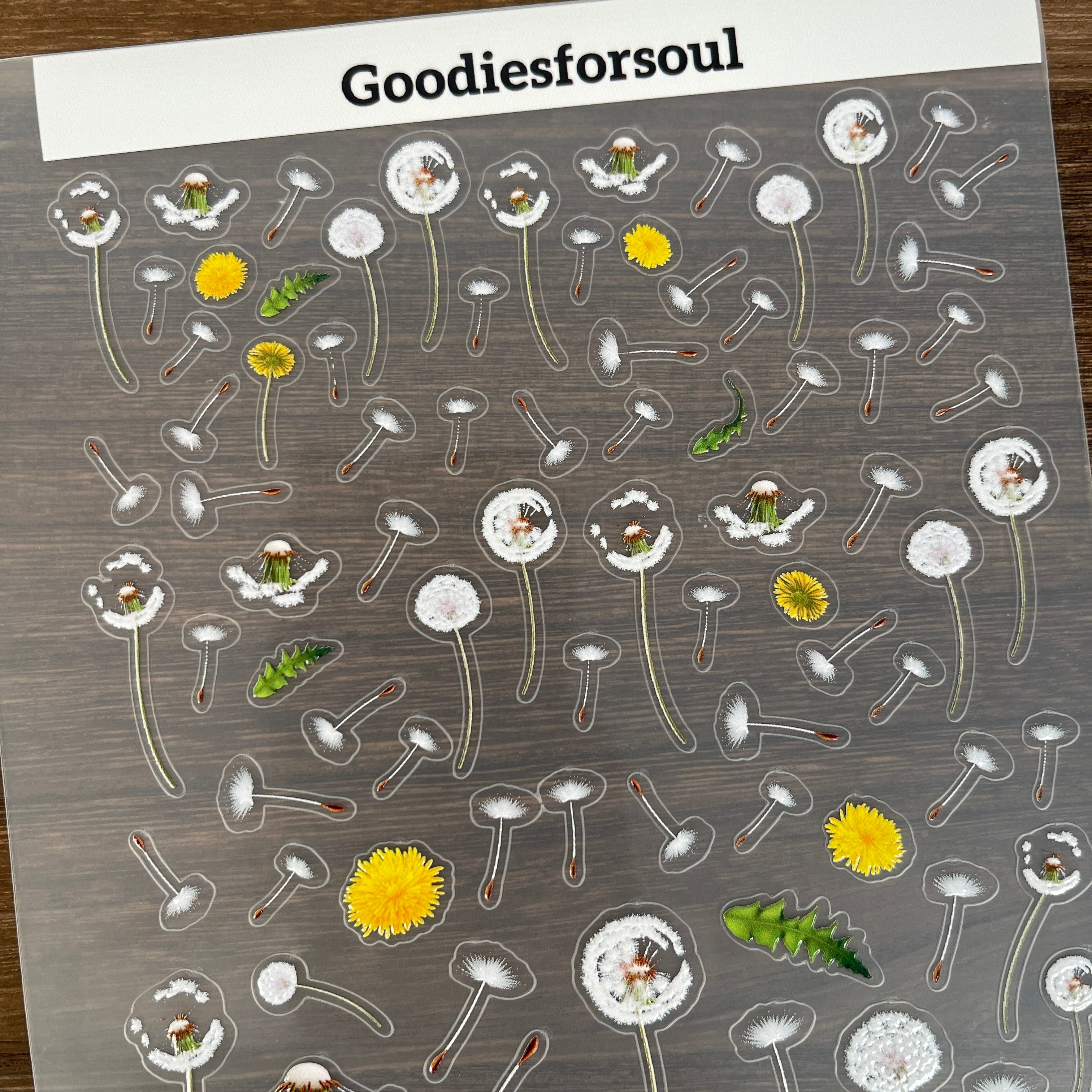 3D Dandelion PET Sticker 1 Pcs