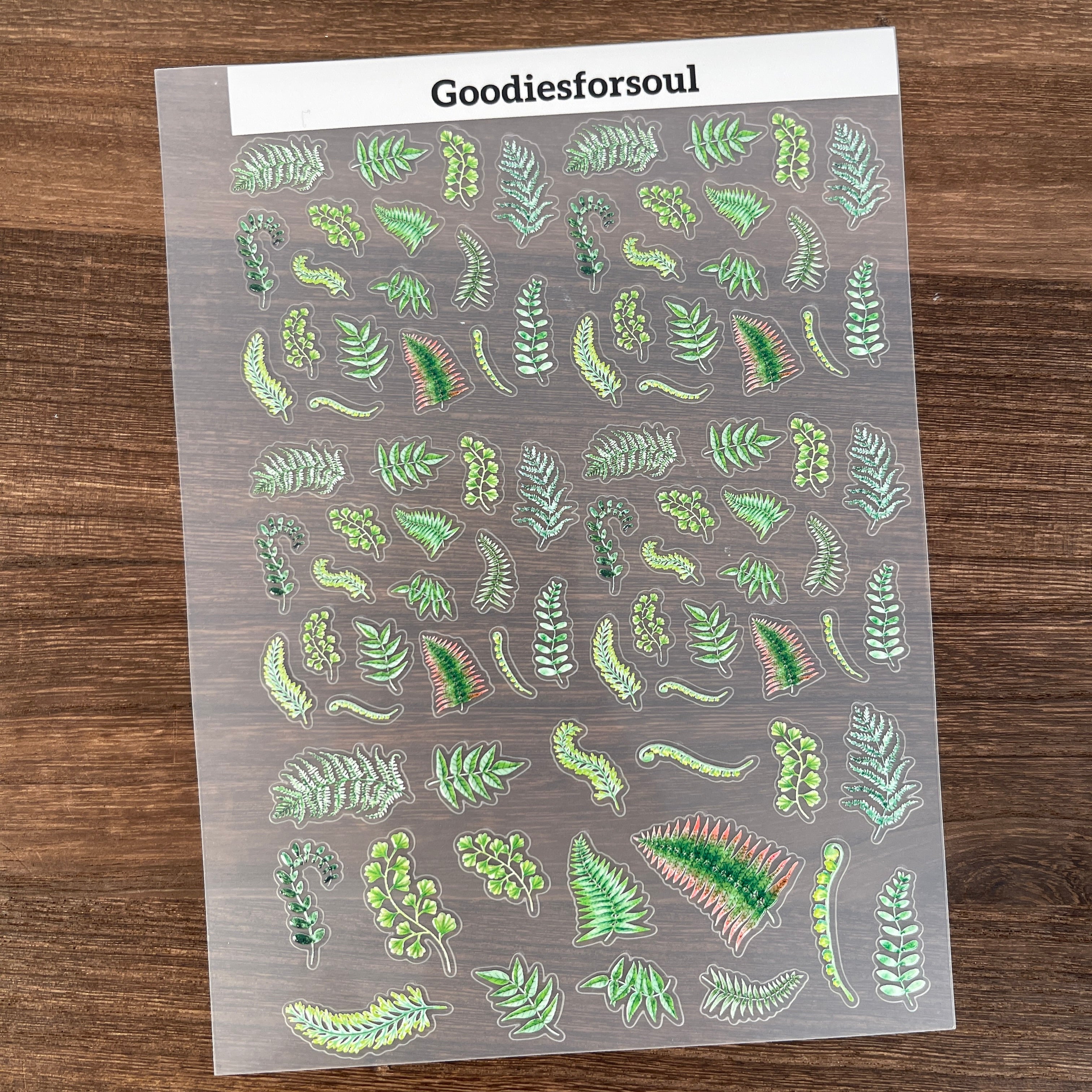 3D Ferns PET Sticker 1 Pcs