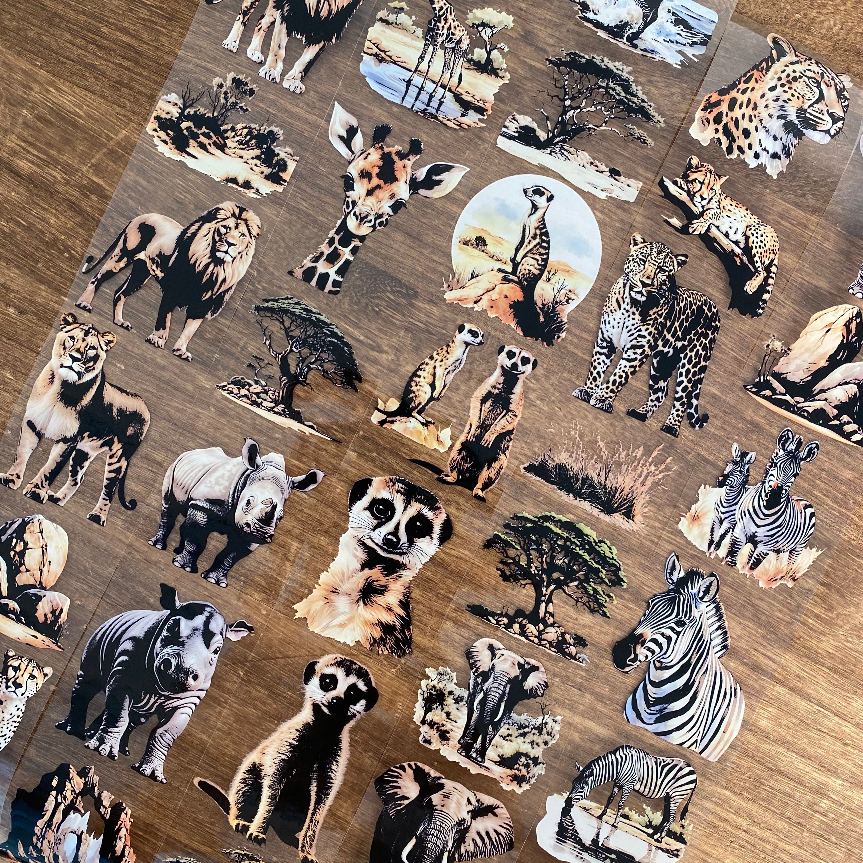Wild Animals PET Tape 6cm*5m