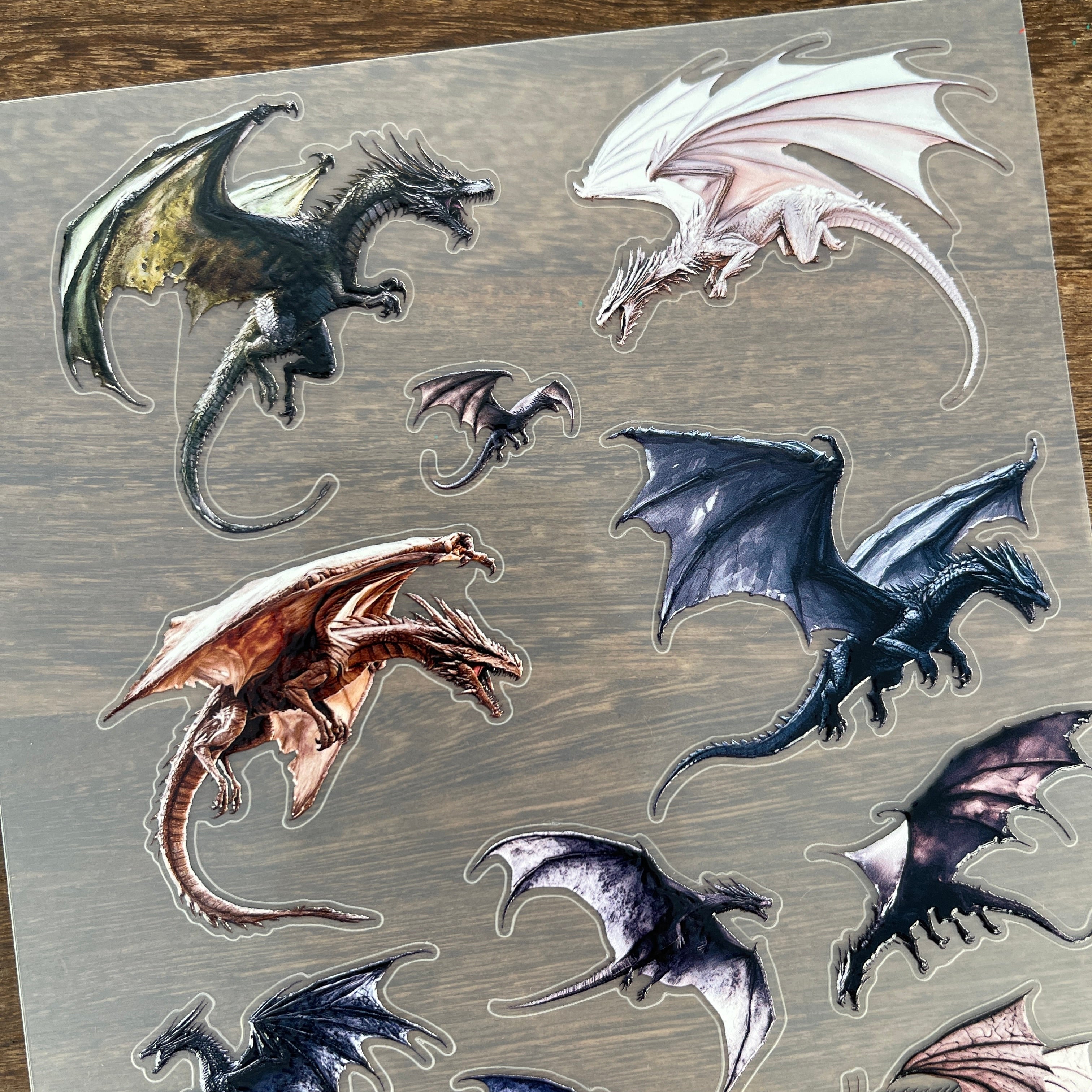 3D Dragon PET Sticker 1 Pcs