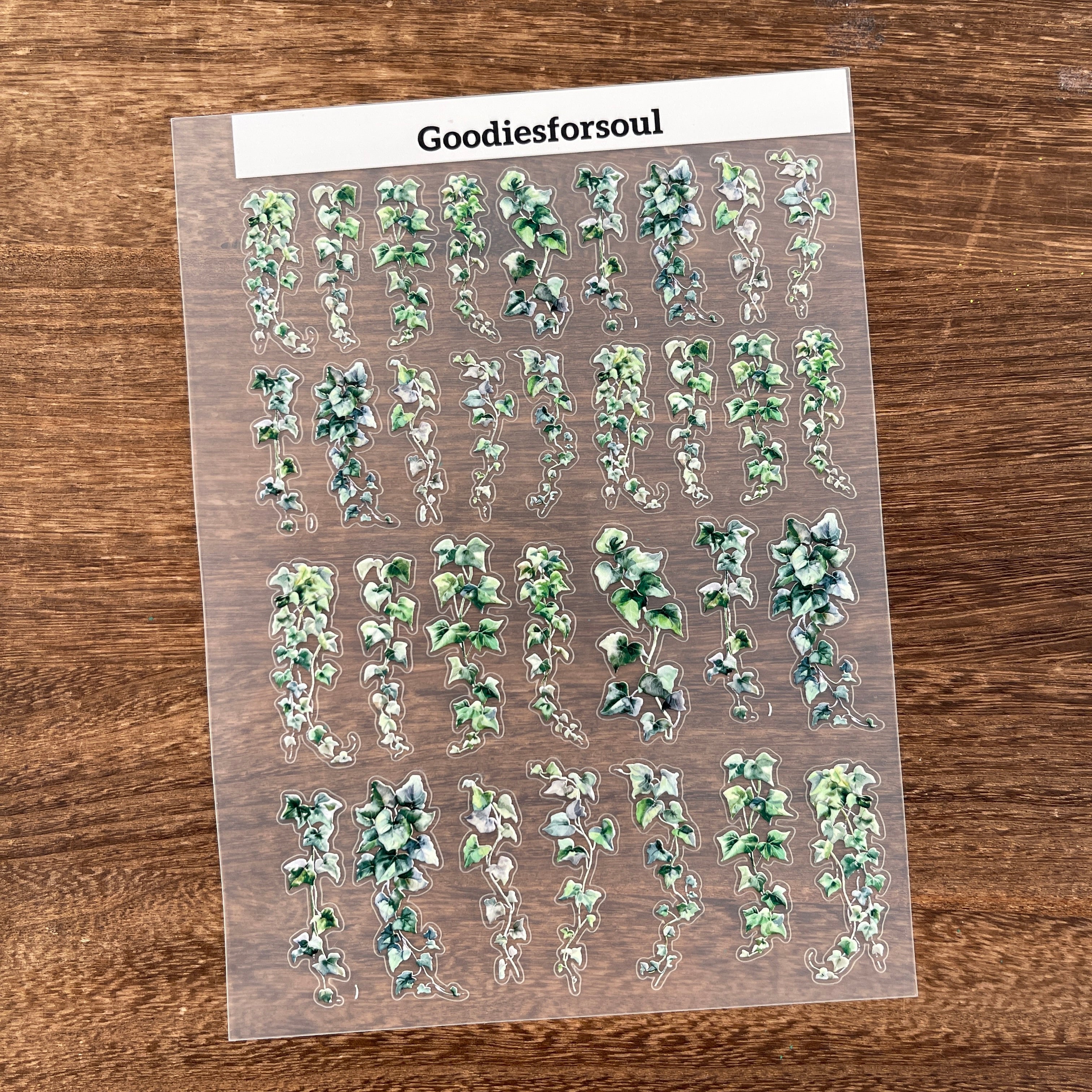 3D Vine PET Sticker 1 Pcs