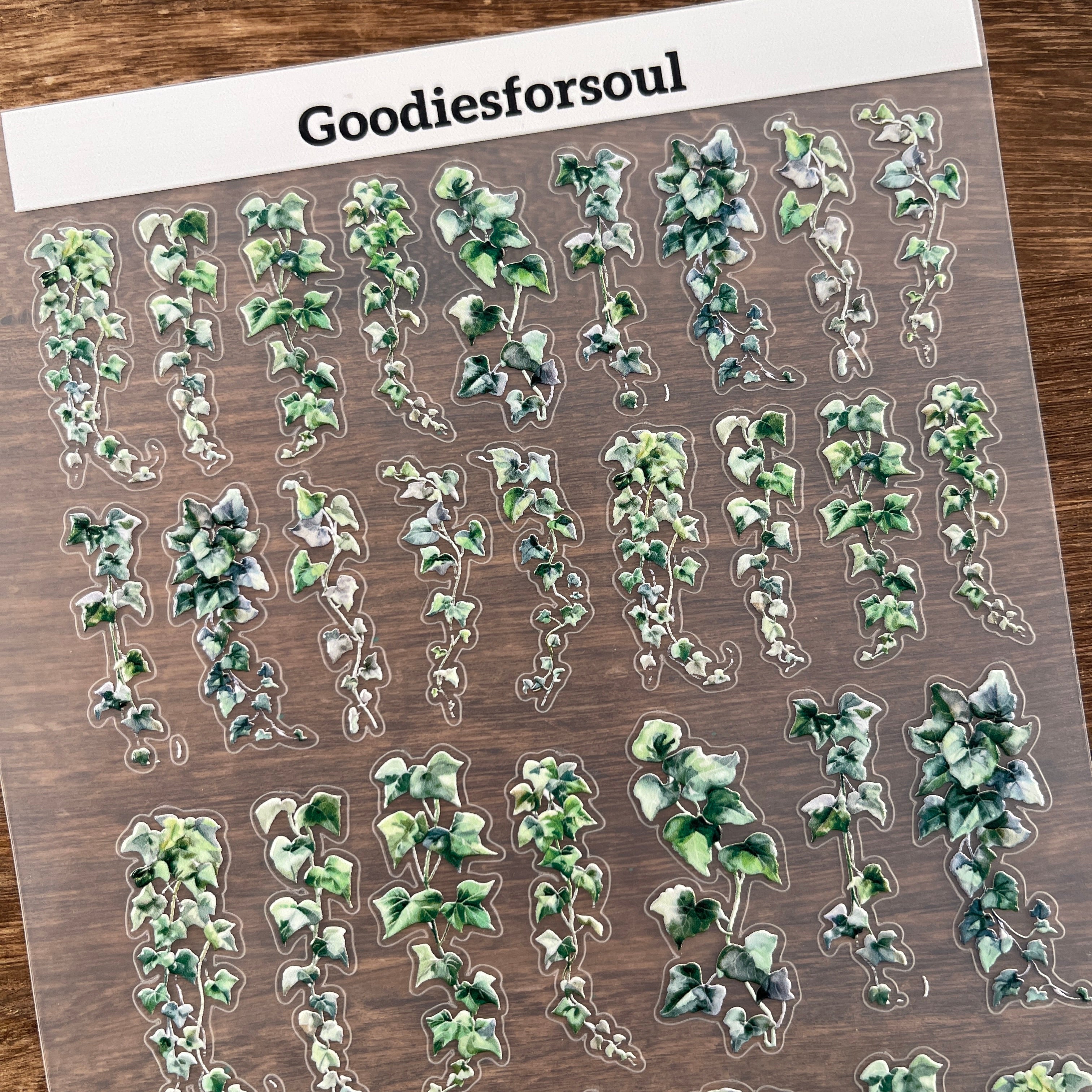 3D Vine PET Sticker 1 Pcs