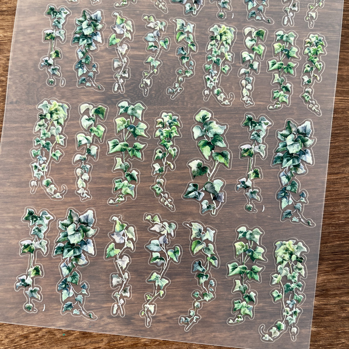 Full vine PET sticker sheet