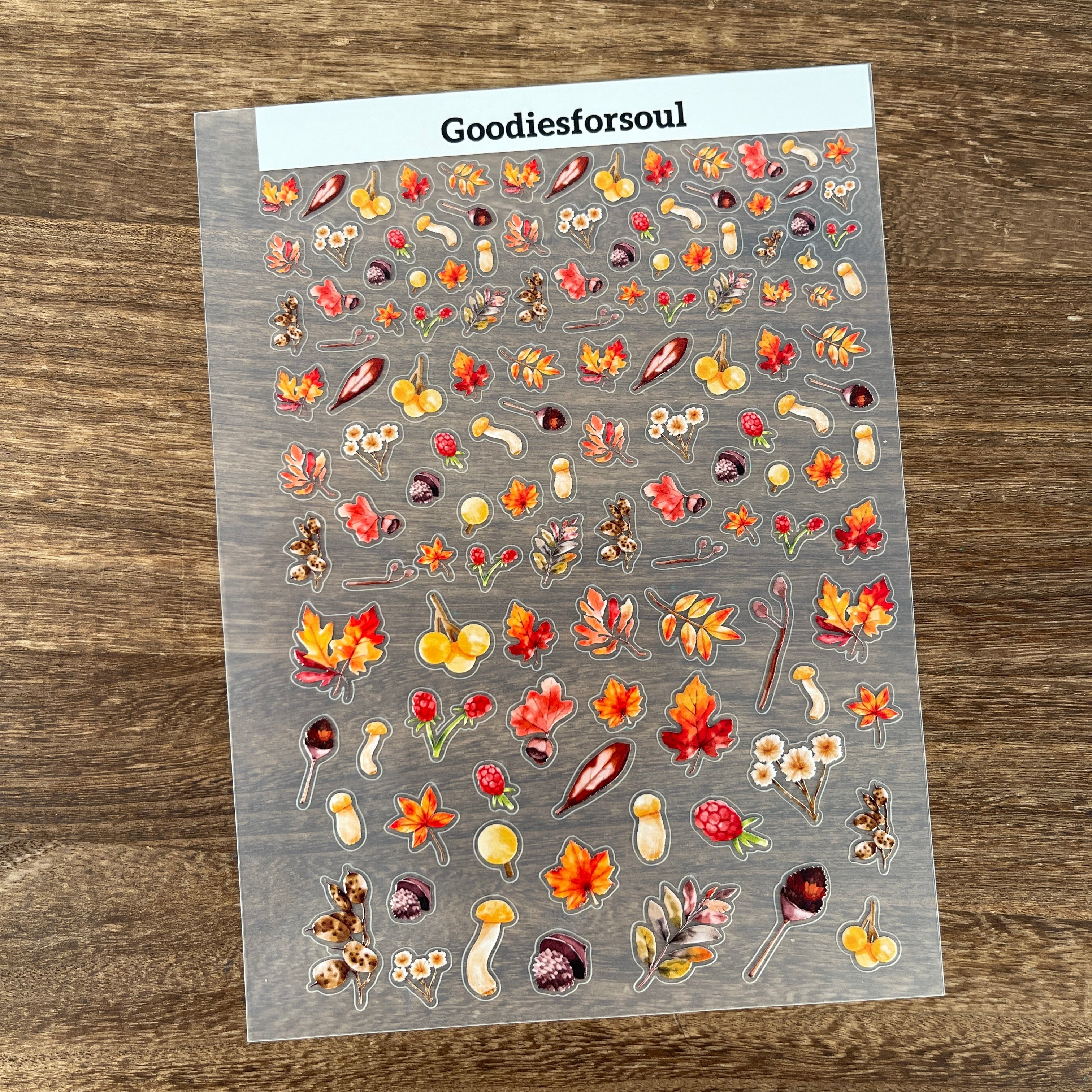 3D Autumn Plants PET Sticker 1 Pcs